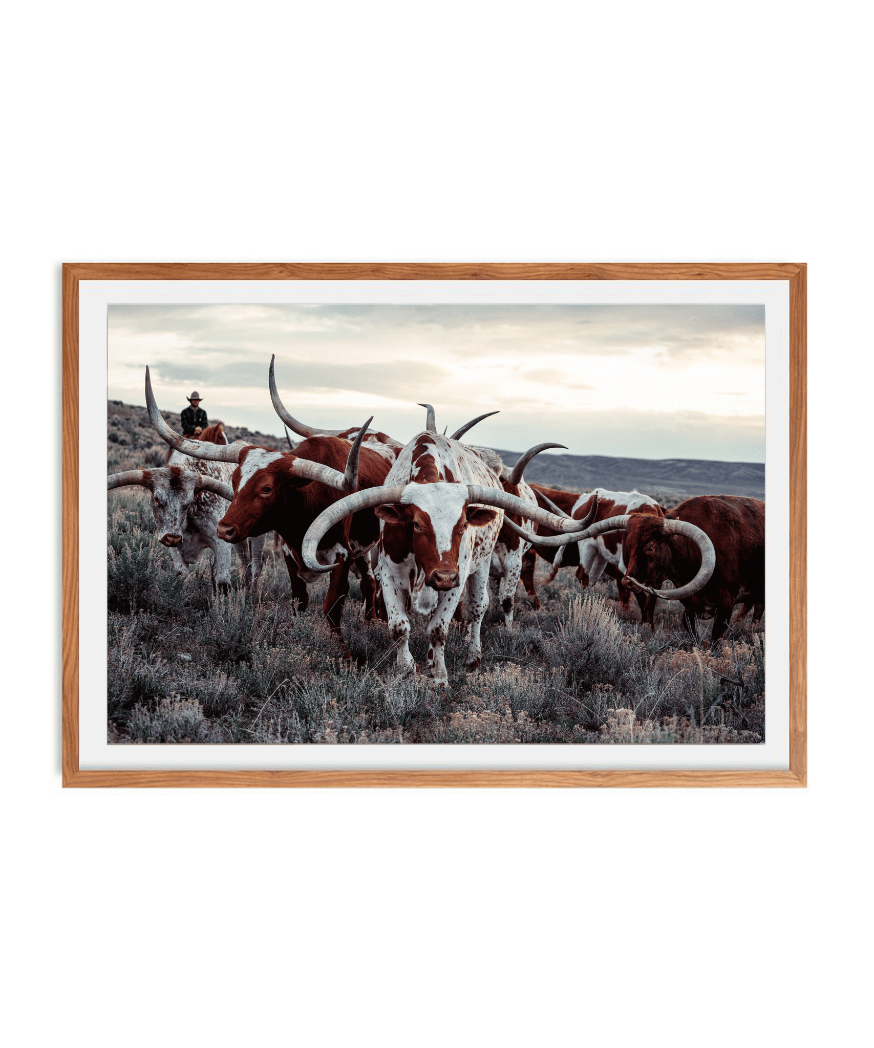 The Cowboy Collection 20 by Ben Christensen Print - Paranoid Ranch