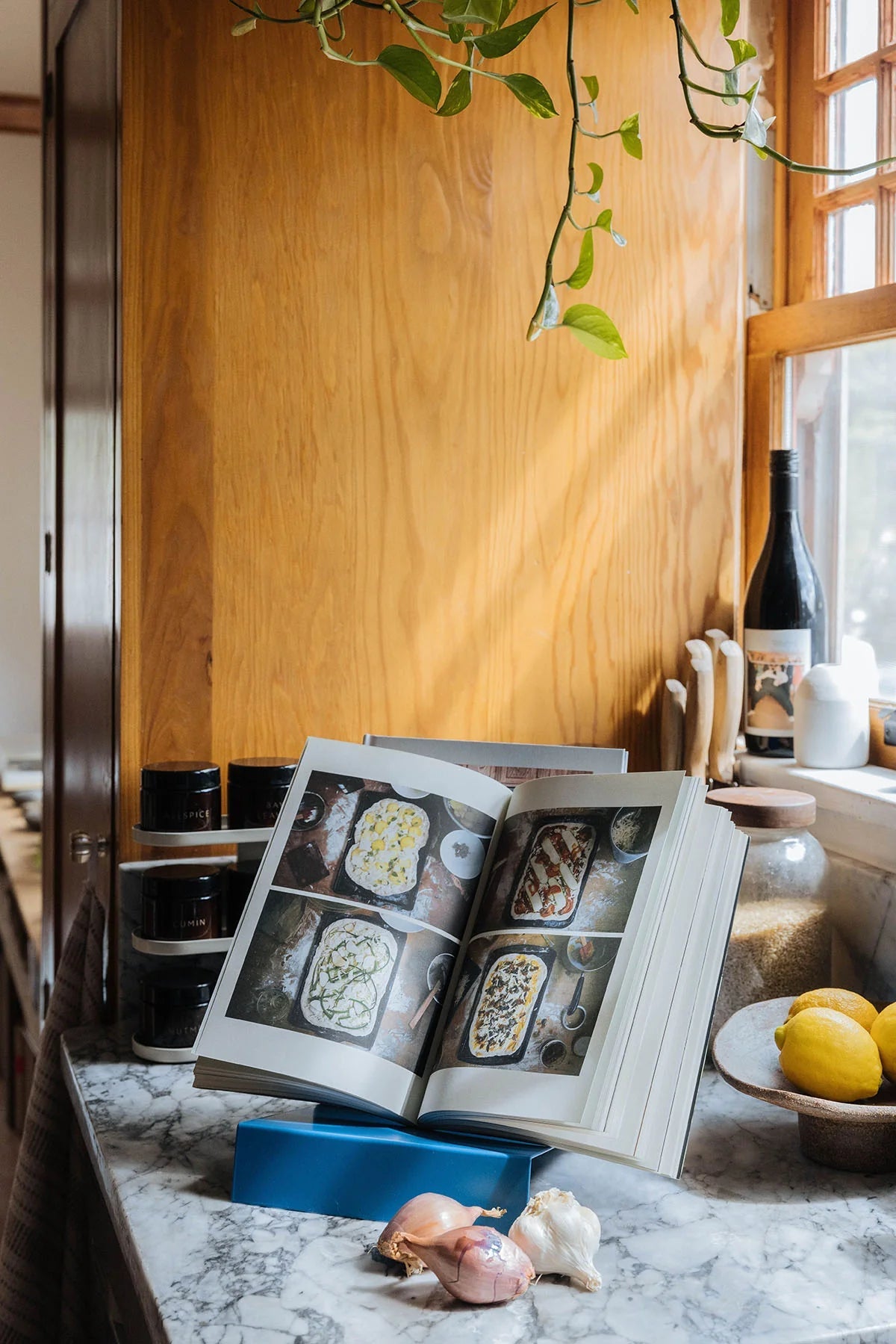 Upton LP Stand - Blue - Paranoid Ranch