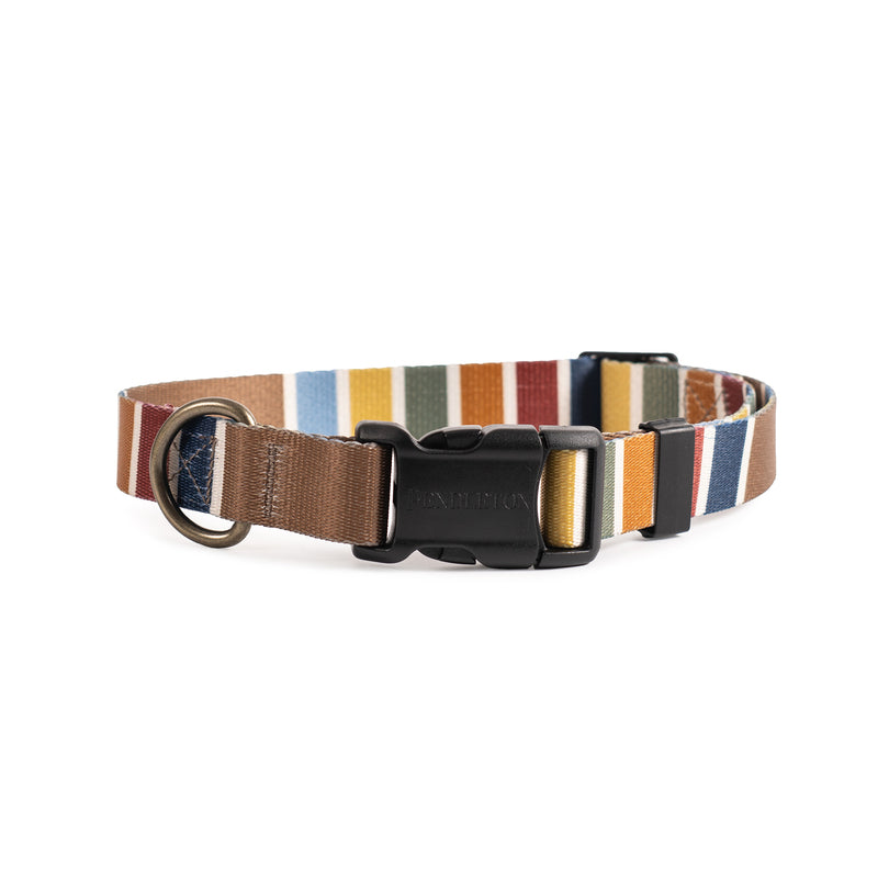 Pendleton National Park Adventure Dog Collar