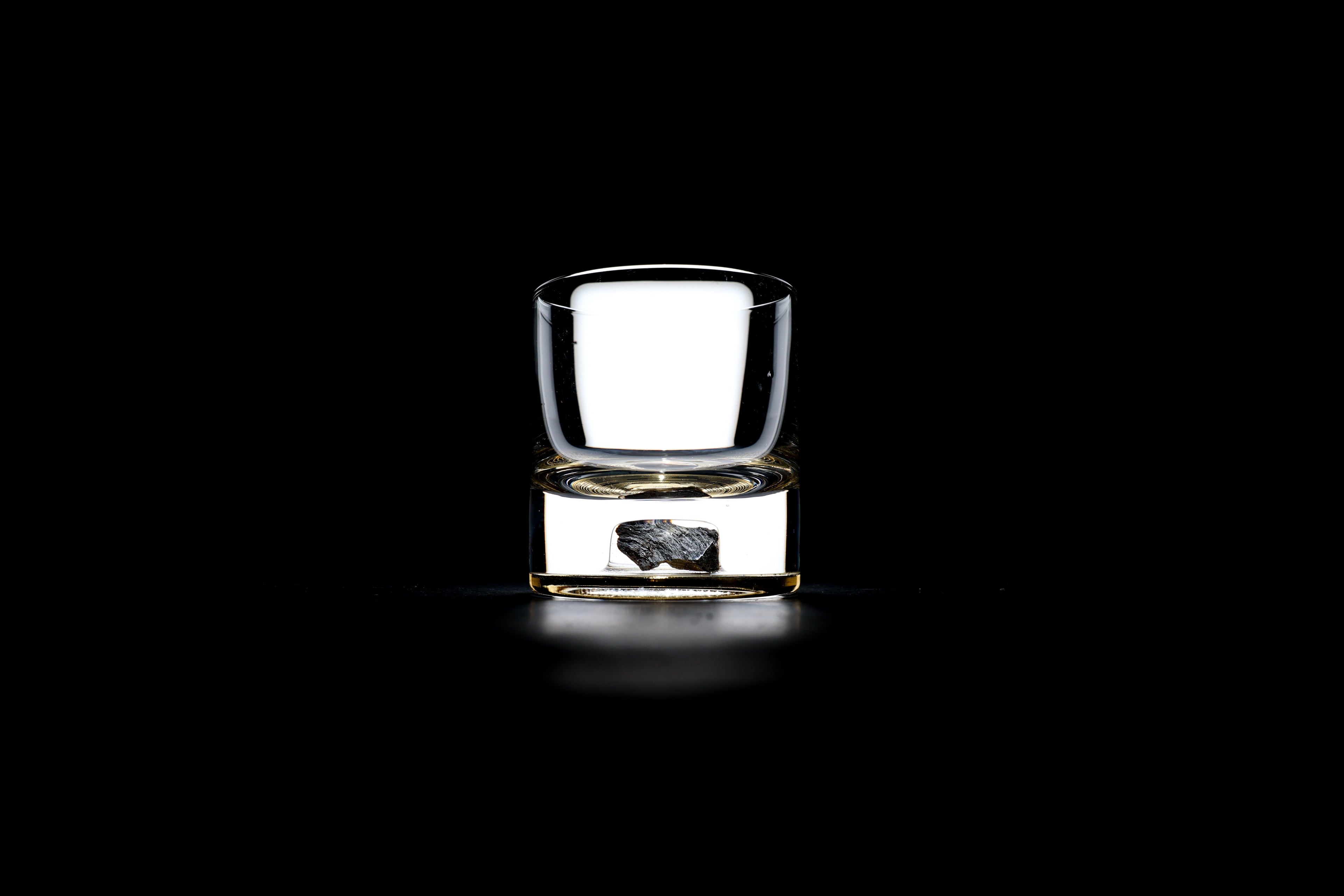 Dinosaur Bone Shard Tumbler - Set of 2