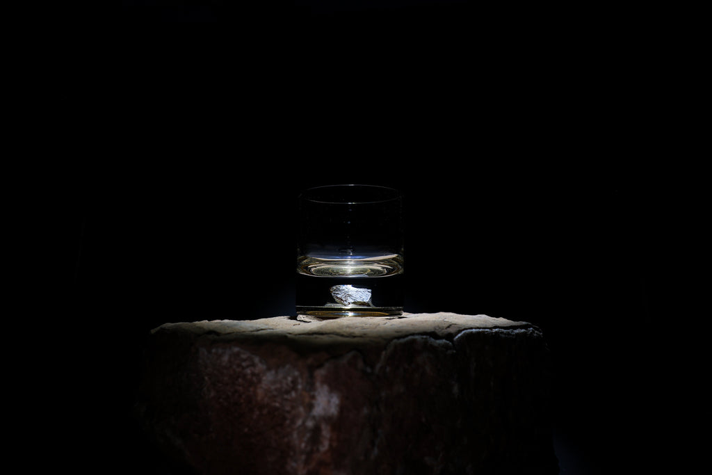 Dinosaur Bone Shard Tumbler - Set of 2