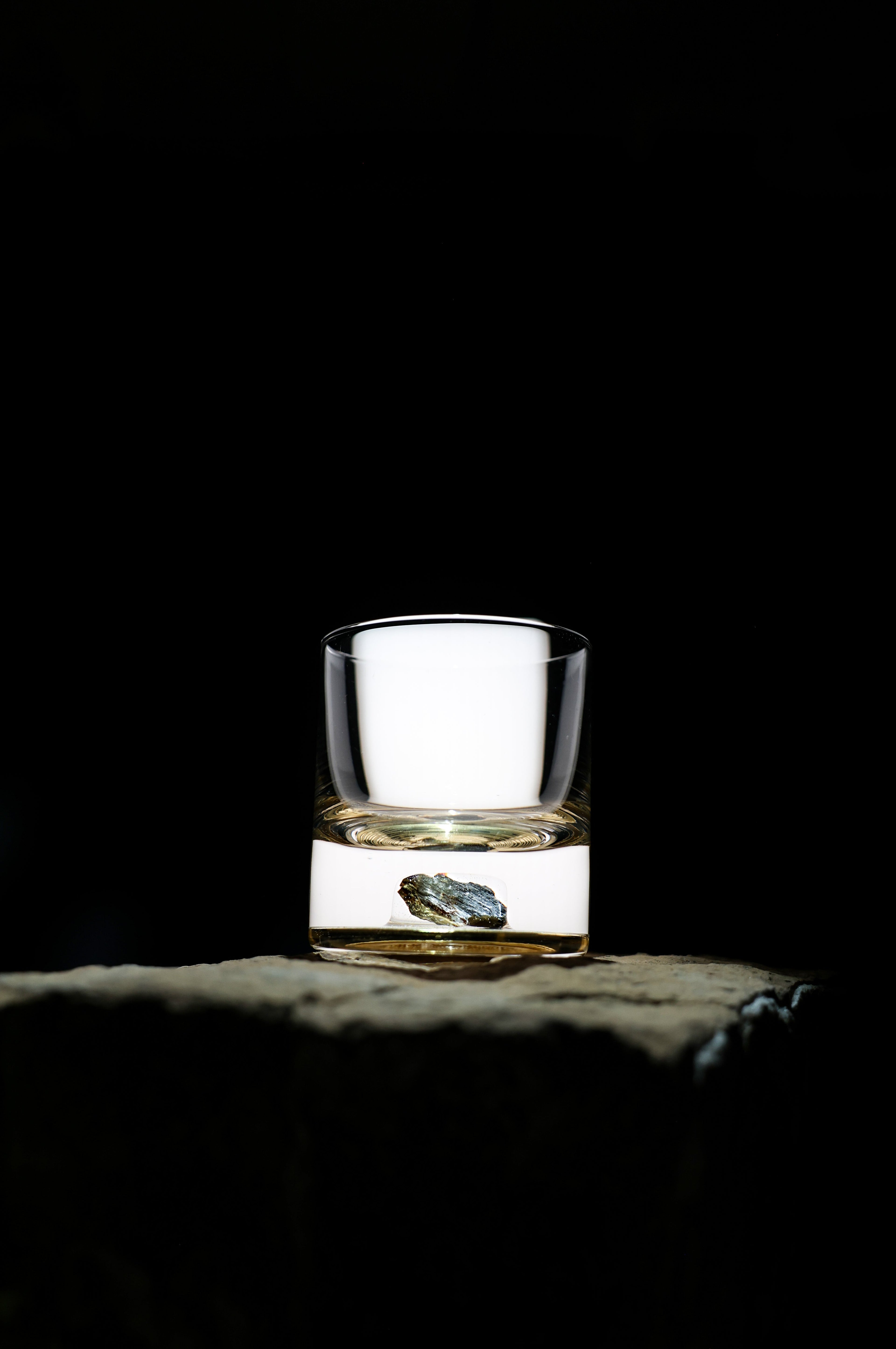 Dinosaur Bone Shard Tumbler - Set of 2