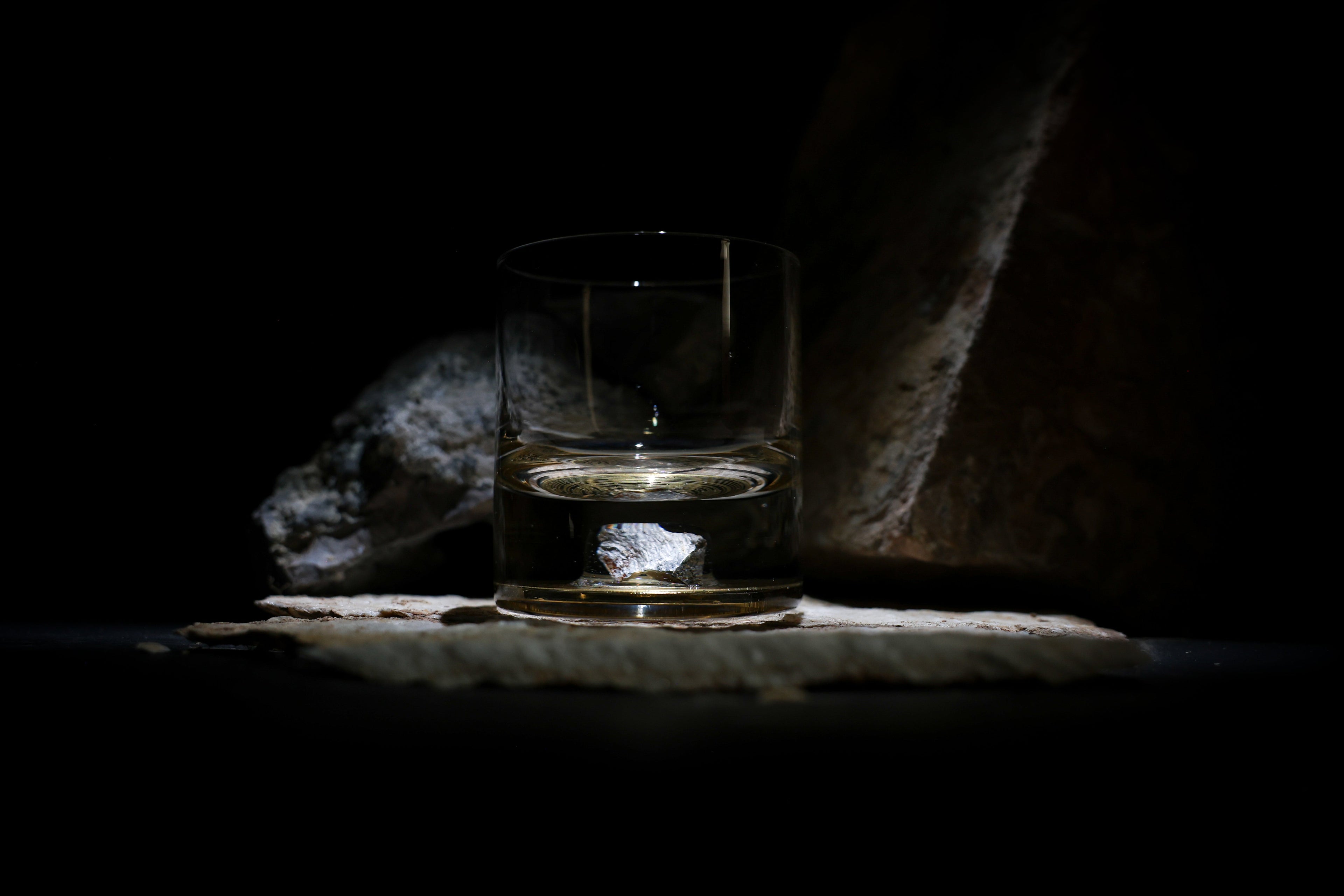 Dinosaur Bone Shard Tumbler - Set of 2