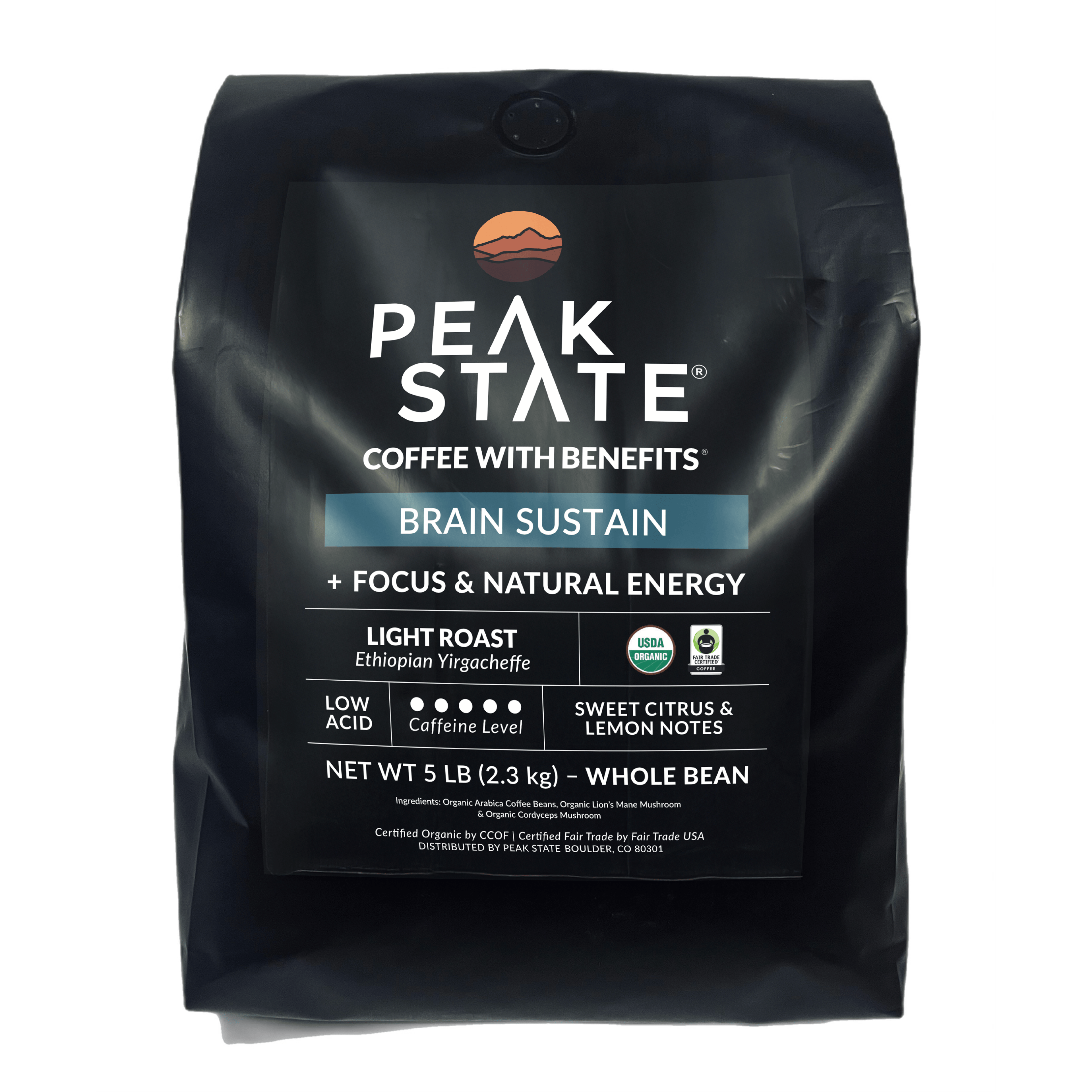 BRAIN SUSTAIN Light Roast - 5lb