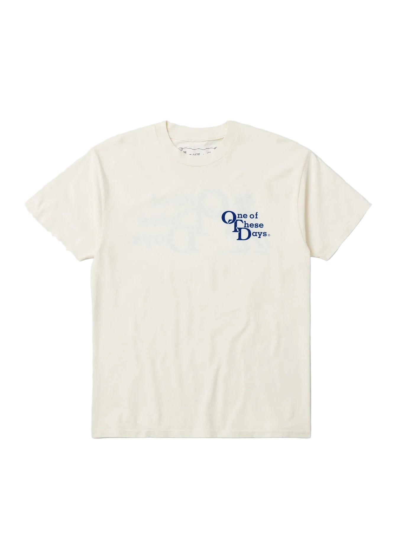 White t-shirt with blue text on a white background