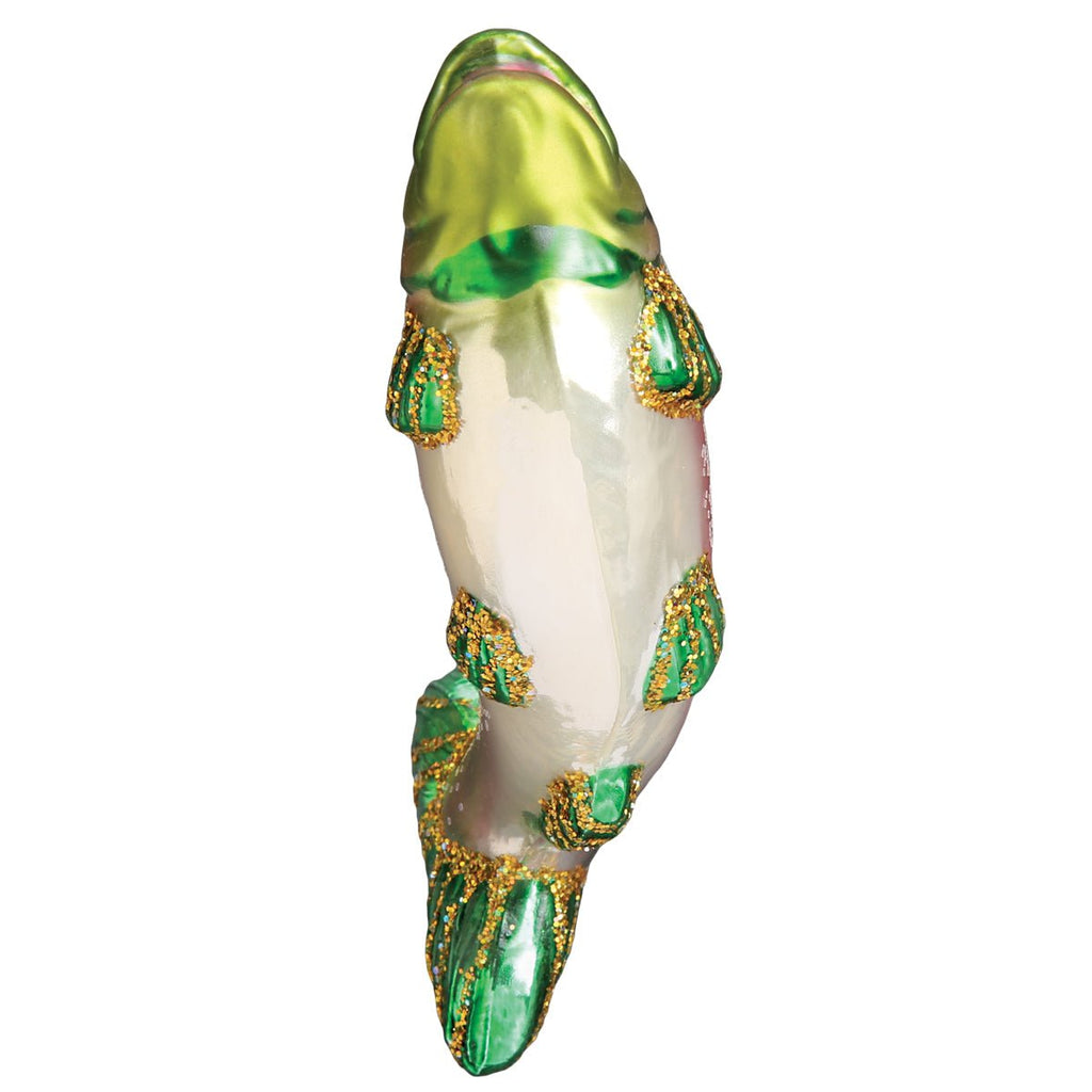 Alpine Rainbow Trout - Paranoid Ranch