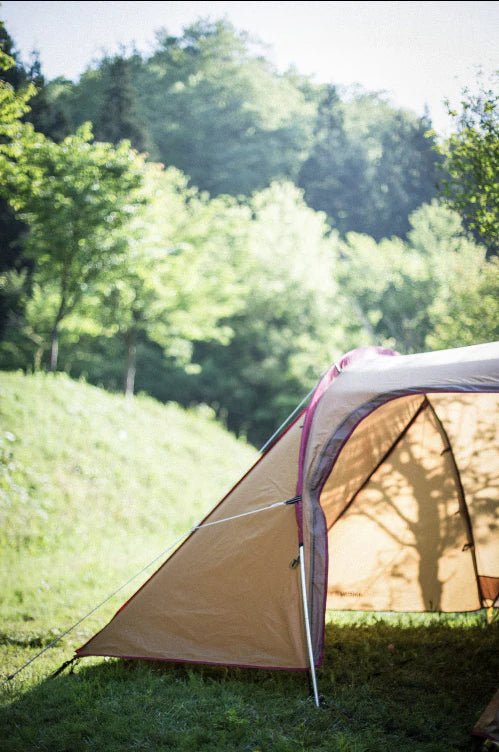 Amenity Dome Small - Paranoid Ranch