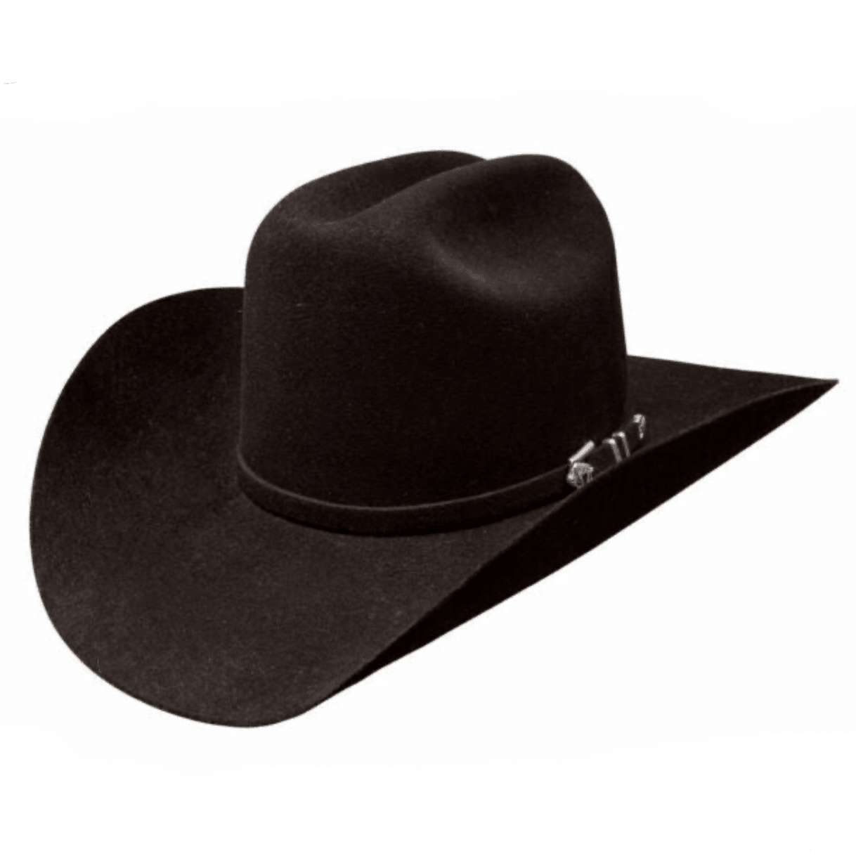 Apache Buffalo | Stetson - Paranoid Ranch