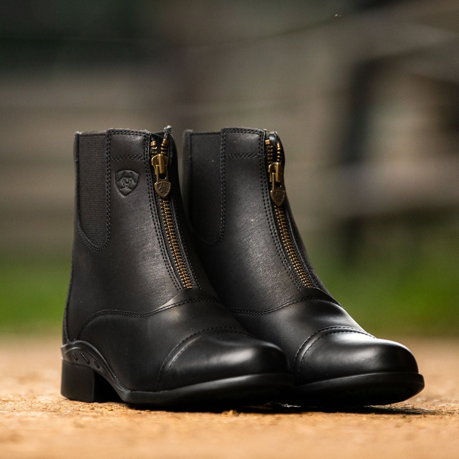 Ariat Scout Zip Paddock Boot, Adult, Black - Paranoid Ranch