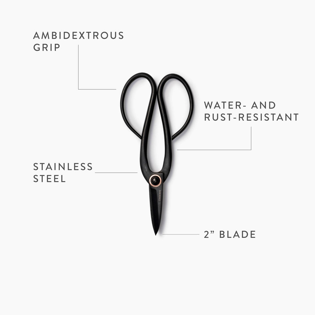 Artisan Pruning & Trimming Shears - Paranoid Ranch