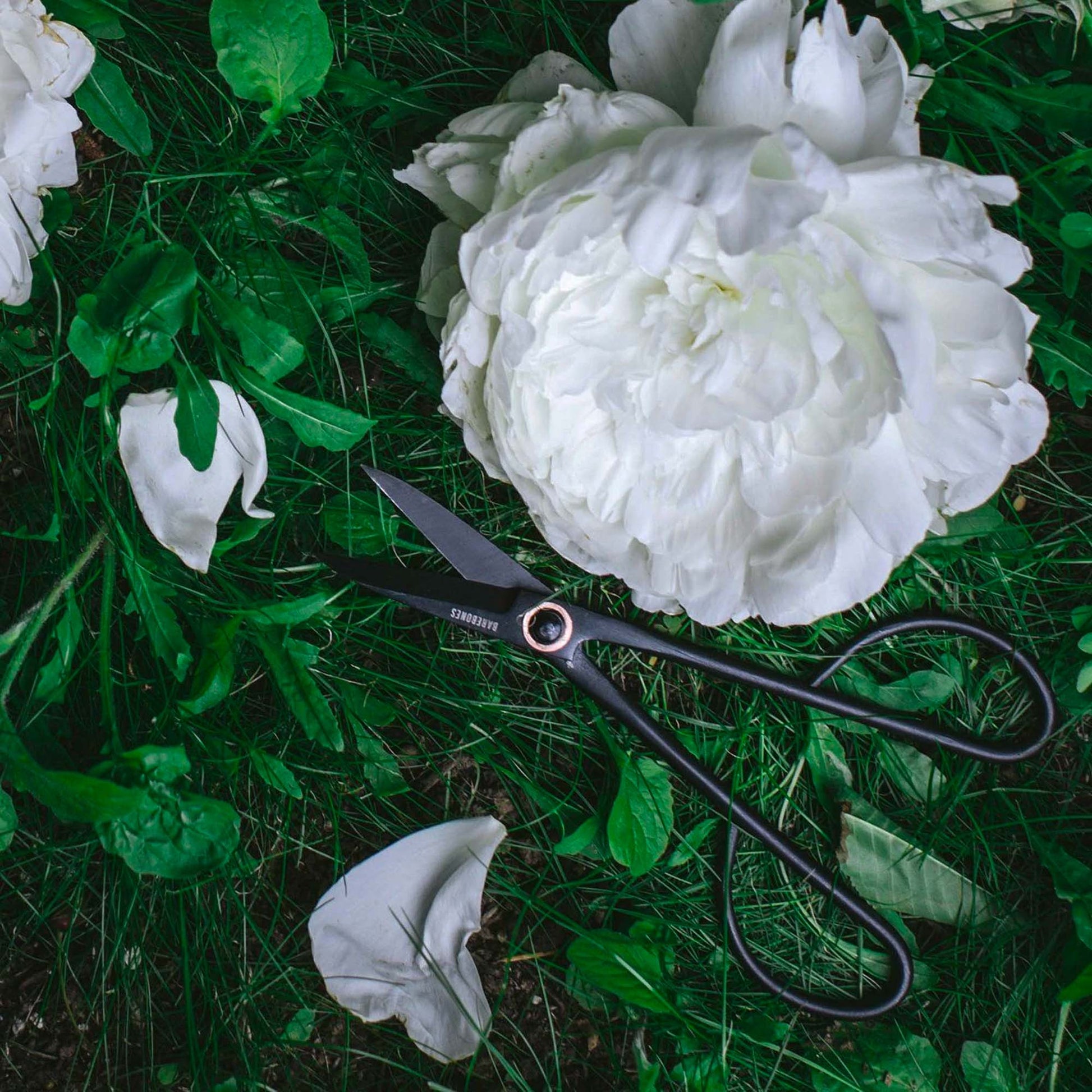 Artisan Pruning & Trimming Shears - Paranoid Ranch