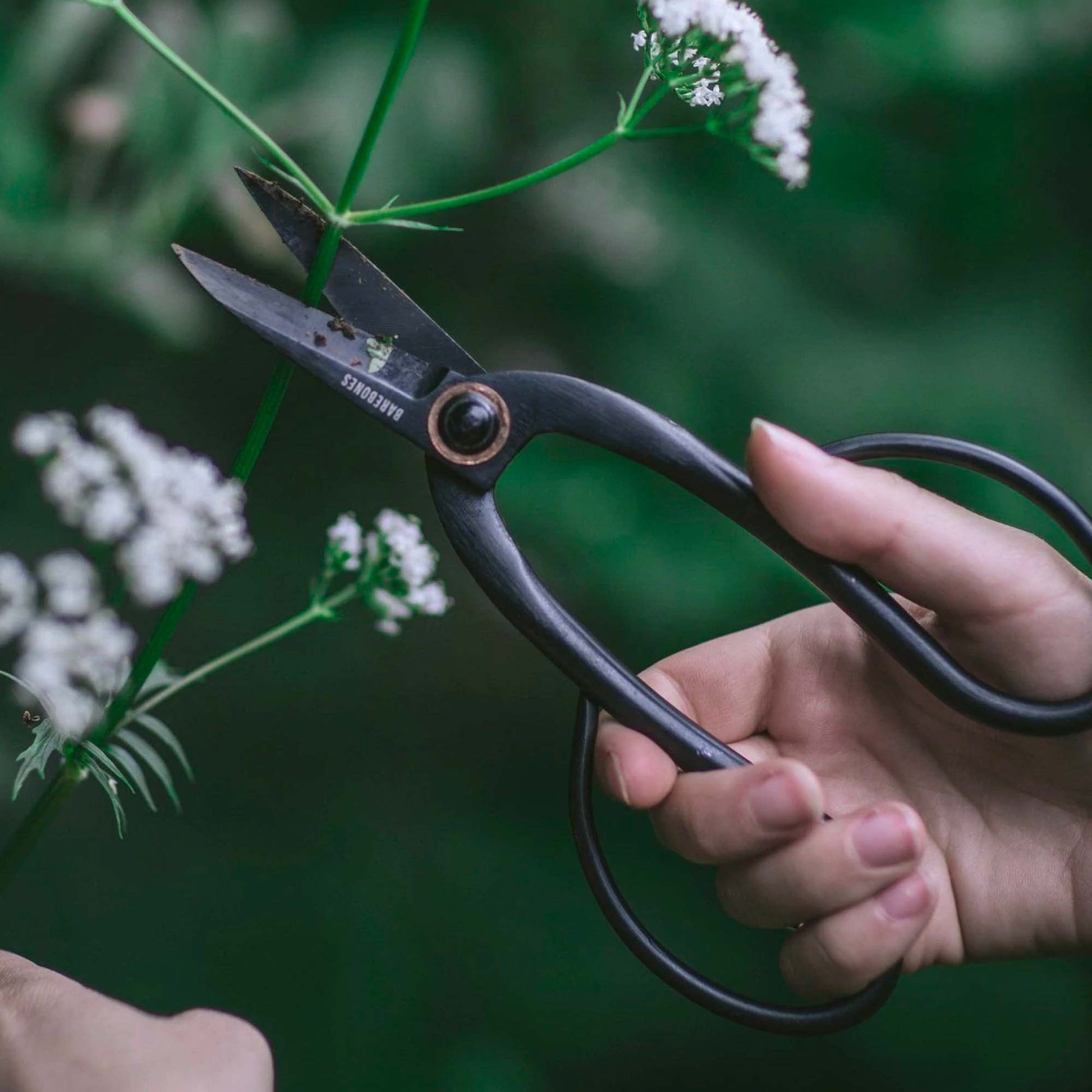 Artisan Pruning & Trimming Shears - Paranoid Ranch