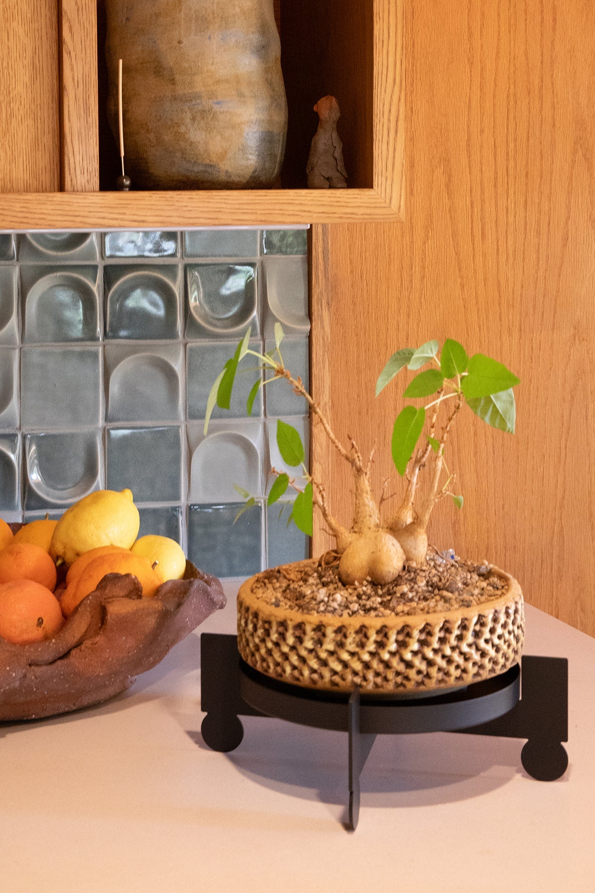 BAL - Black | Plant Stand - Paranoid Ranch