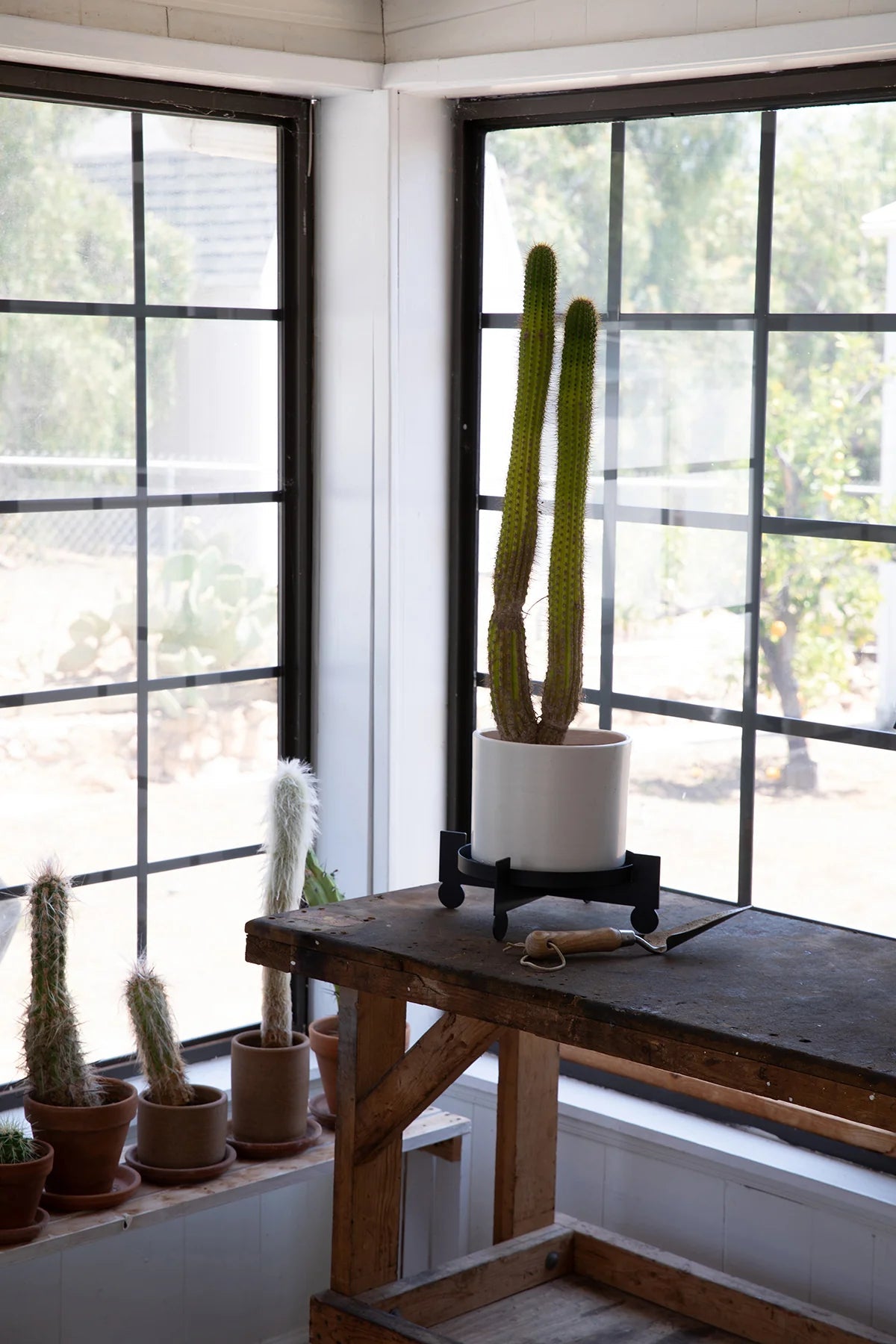 BAL - Black | Plant Stand - Paranoid Ranch