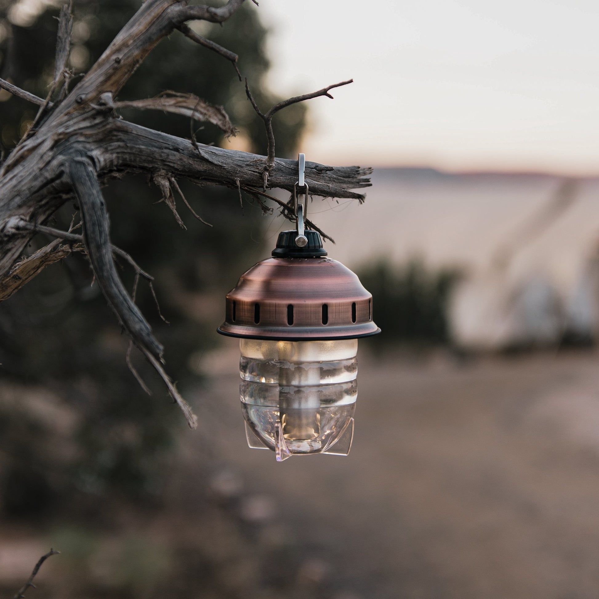 Beacon Hanging Light - Paranoid Ranch