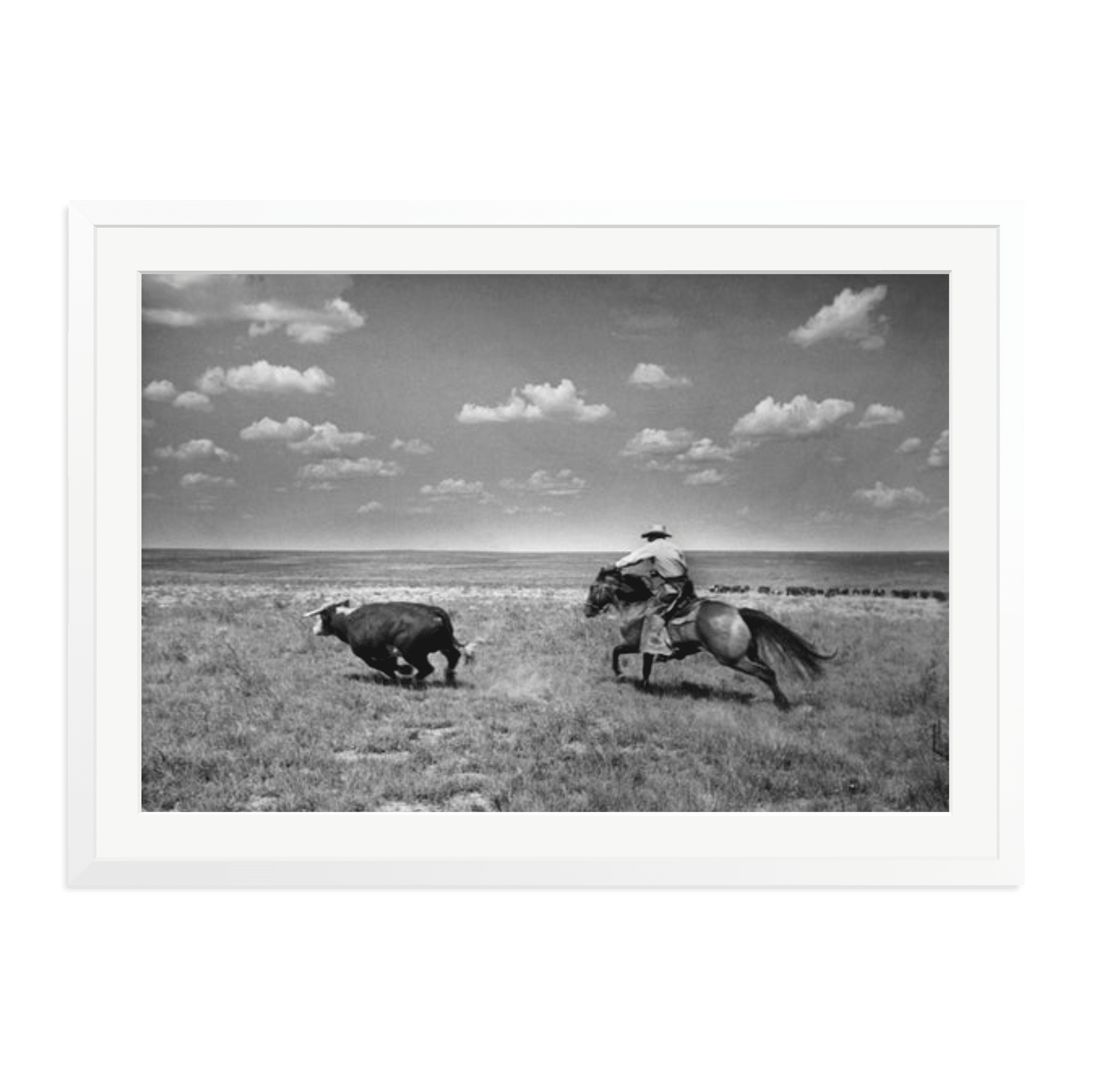 Biffin Ranch - Paranoid Ranch