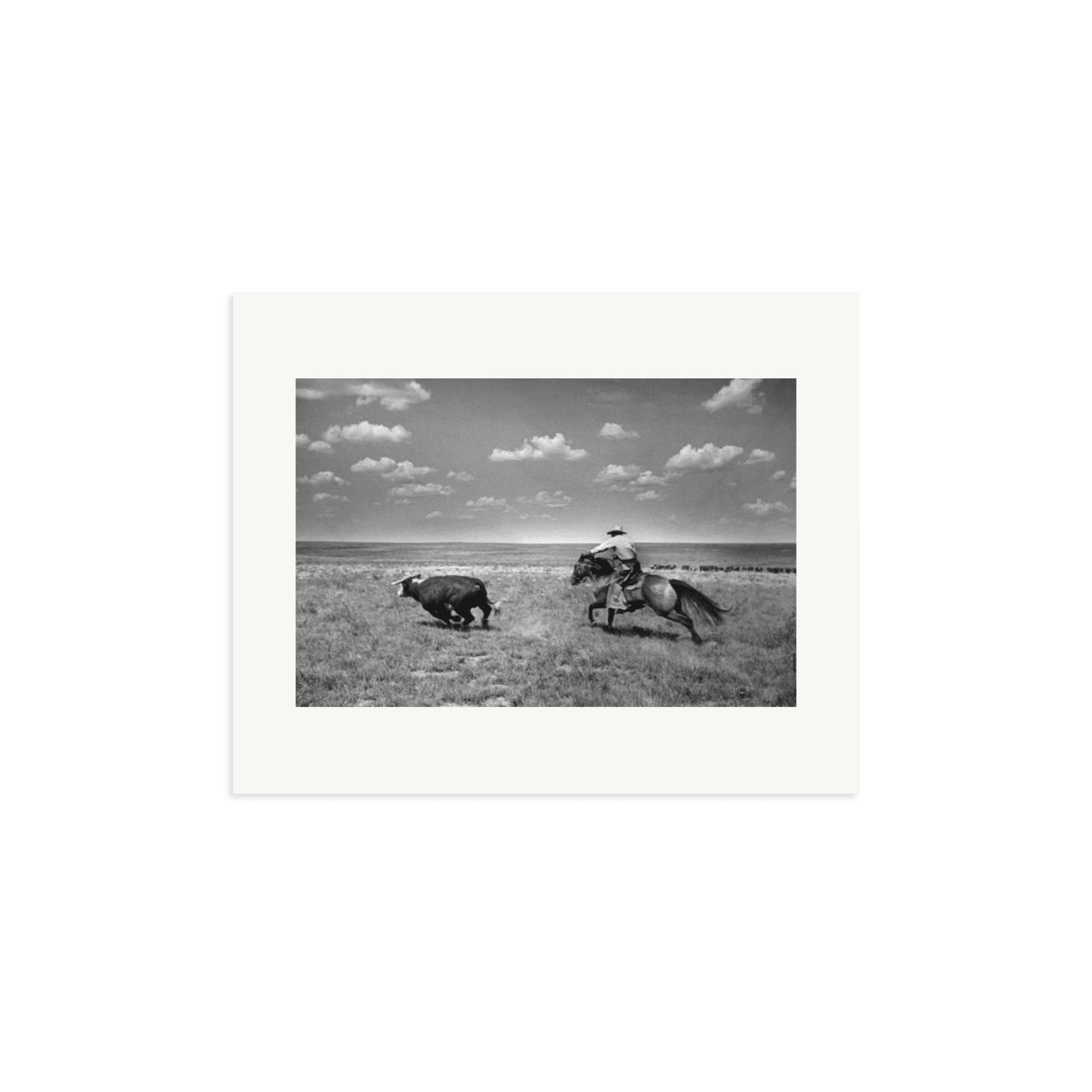 Biffin Ranch - Paranoid Ranch