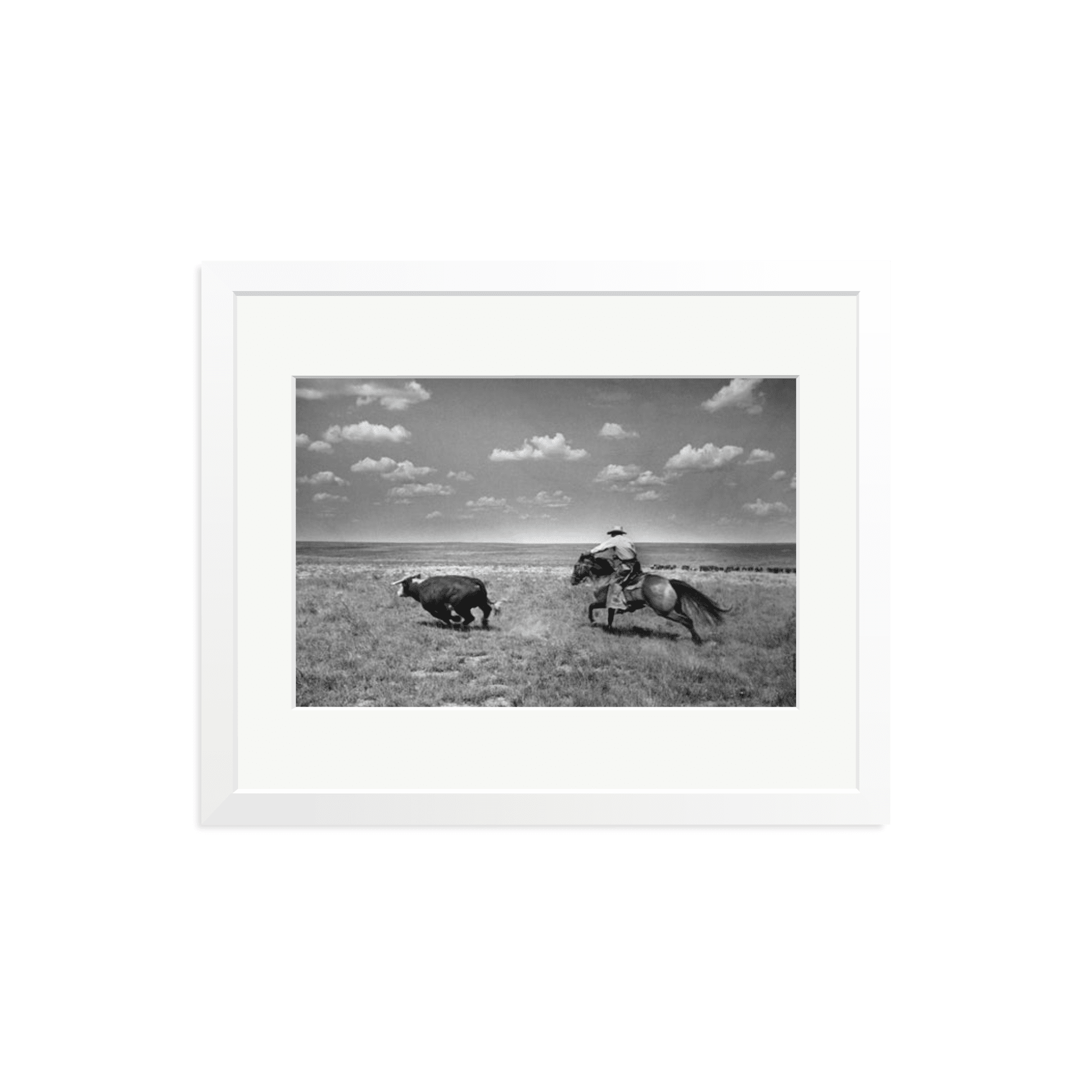 Biffin Ranch - Paranoid Ranch