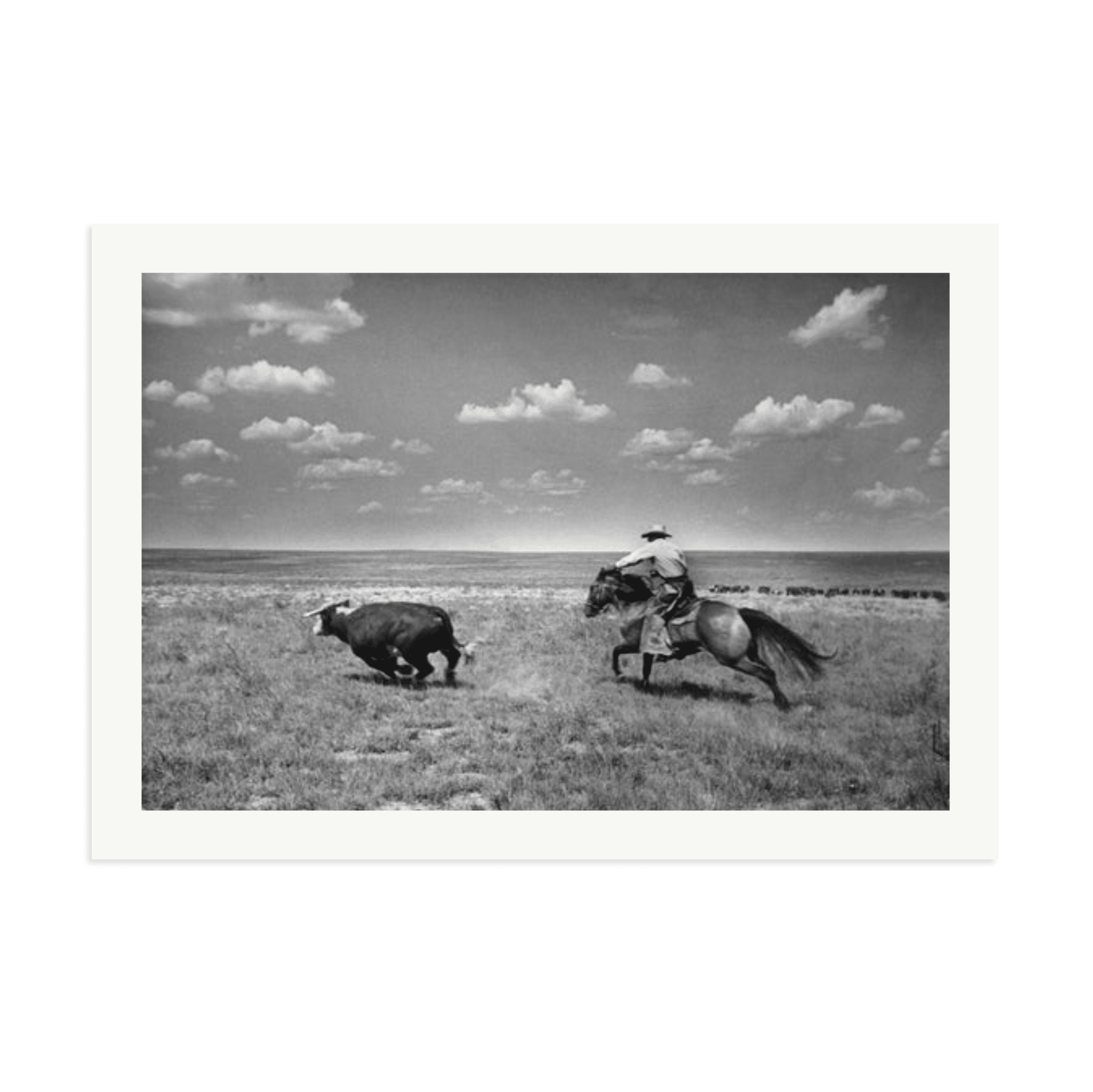 Biffin Ranch - Paranoid Ranch