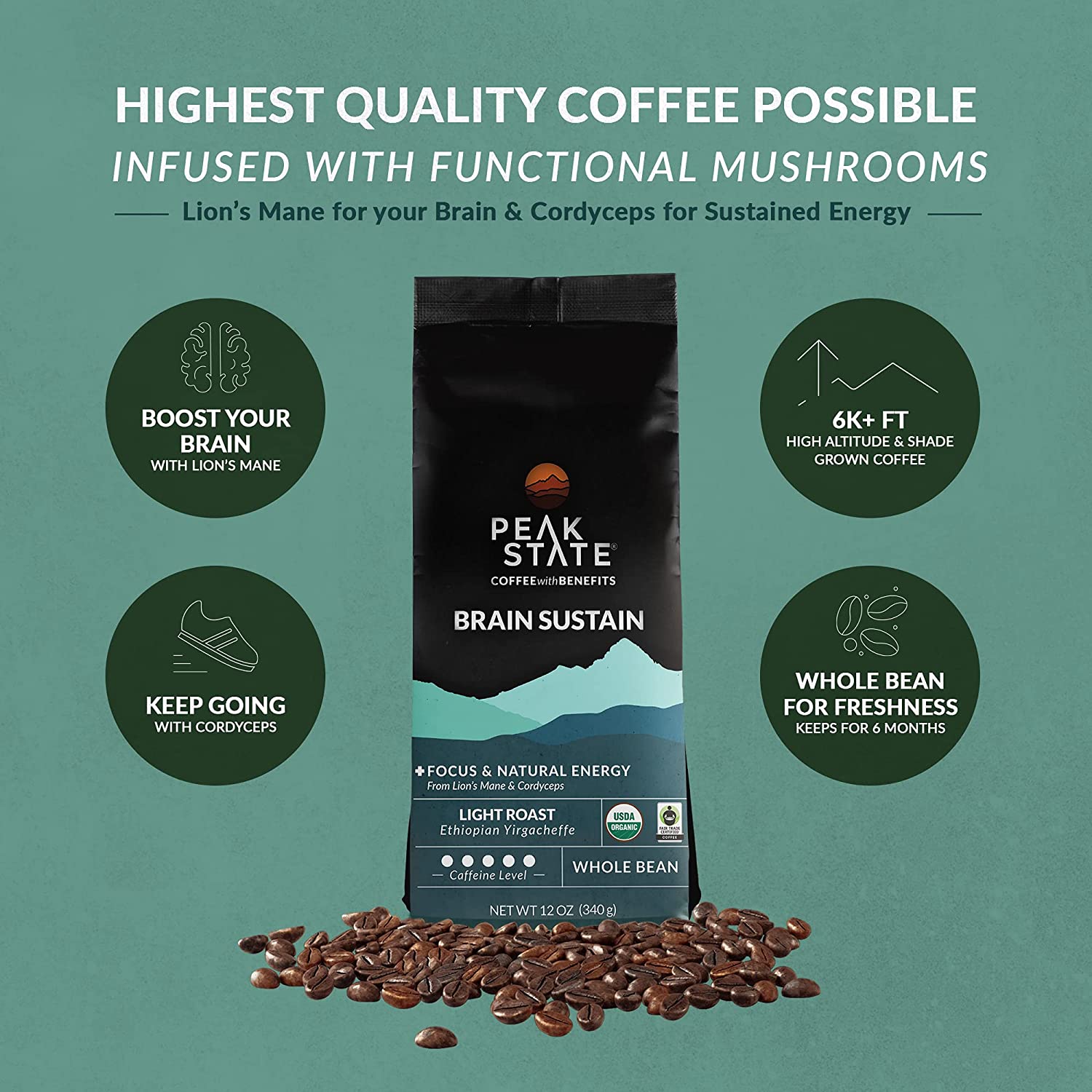BRAIN SUSTAIN Light Roast - 5lb - Paranoid Ranch