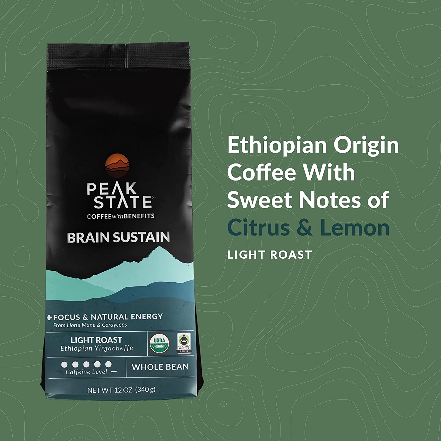 BRAIN SUSTAIN Light Roast - 5lb - Paranoid Ranch
