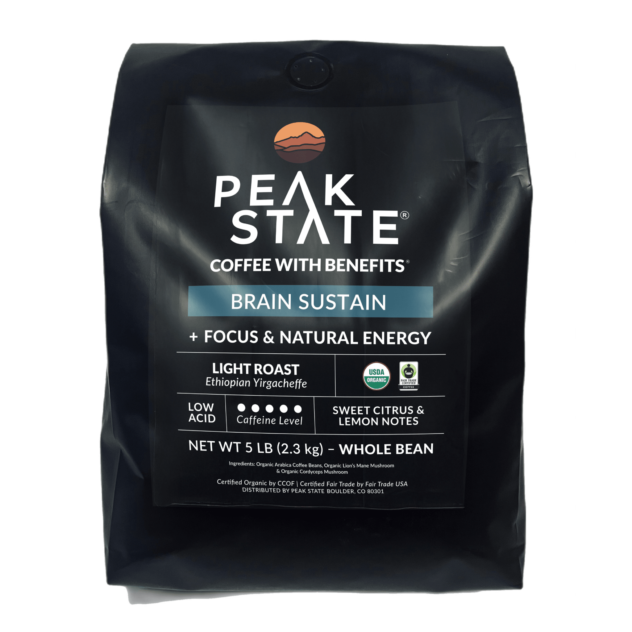BRAIN SUSTAIN Light Roast - 5lb - Paranoid Ranch