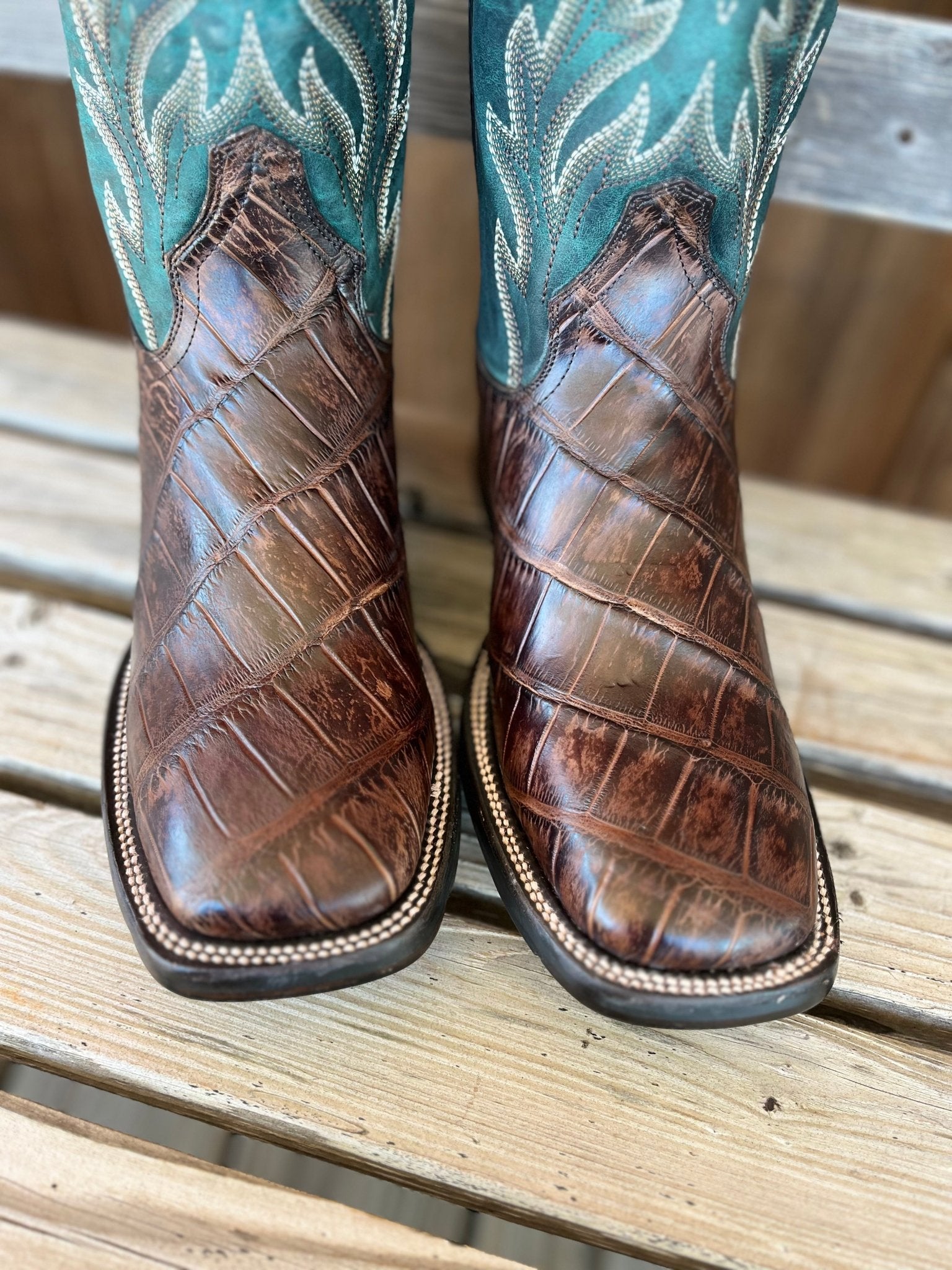 Brown Alligator | Stetson Mens - Paranoid Ranch