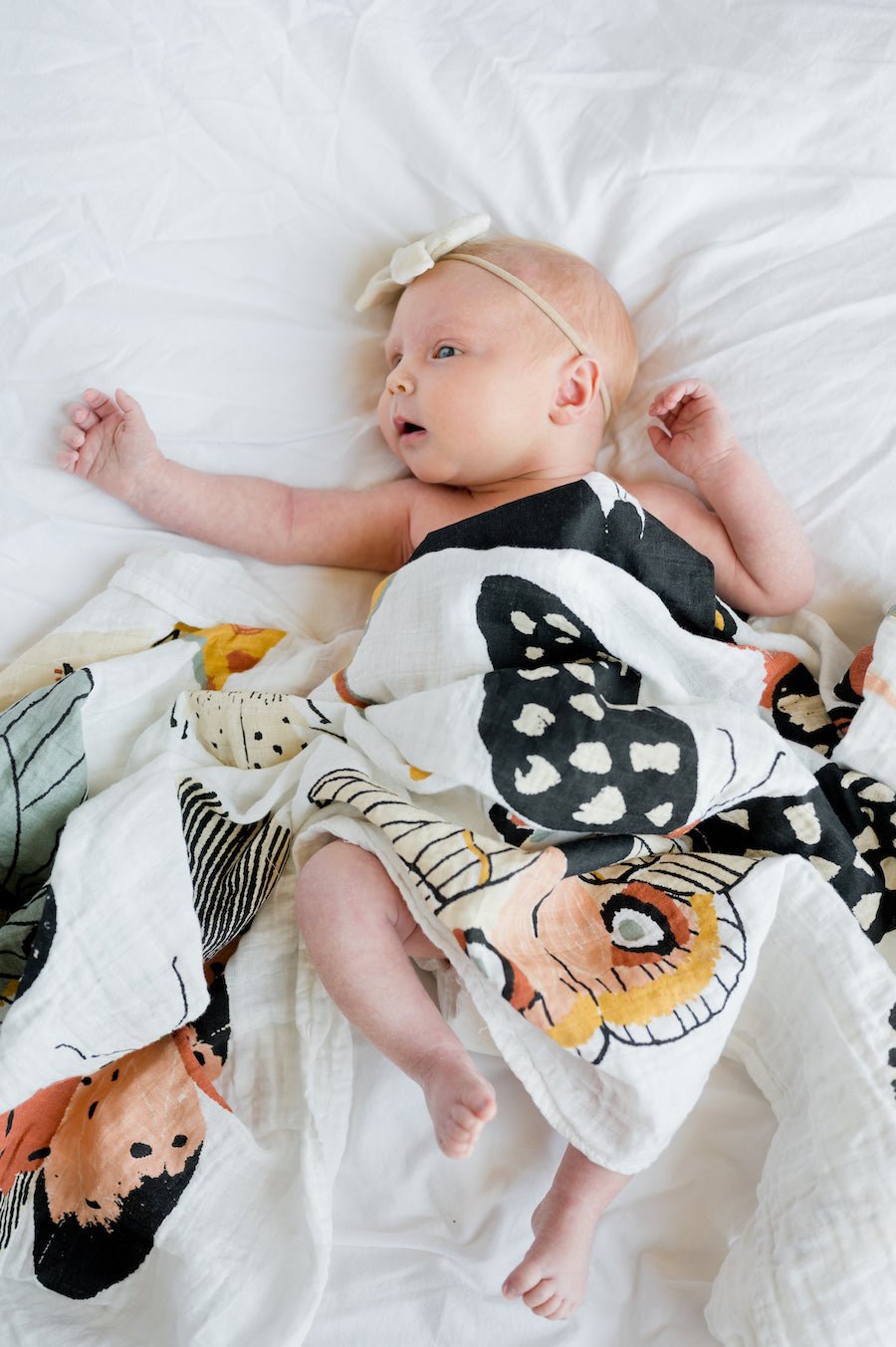 Butterfly Collector Swaddle - Paranoid Ranch