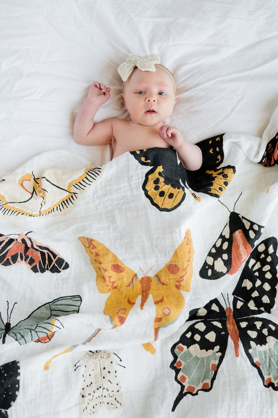 Butterfly Collector Swaddle - Paranoid Ranch