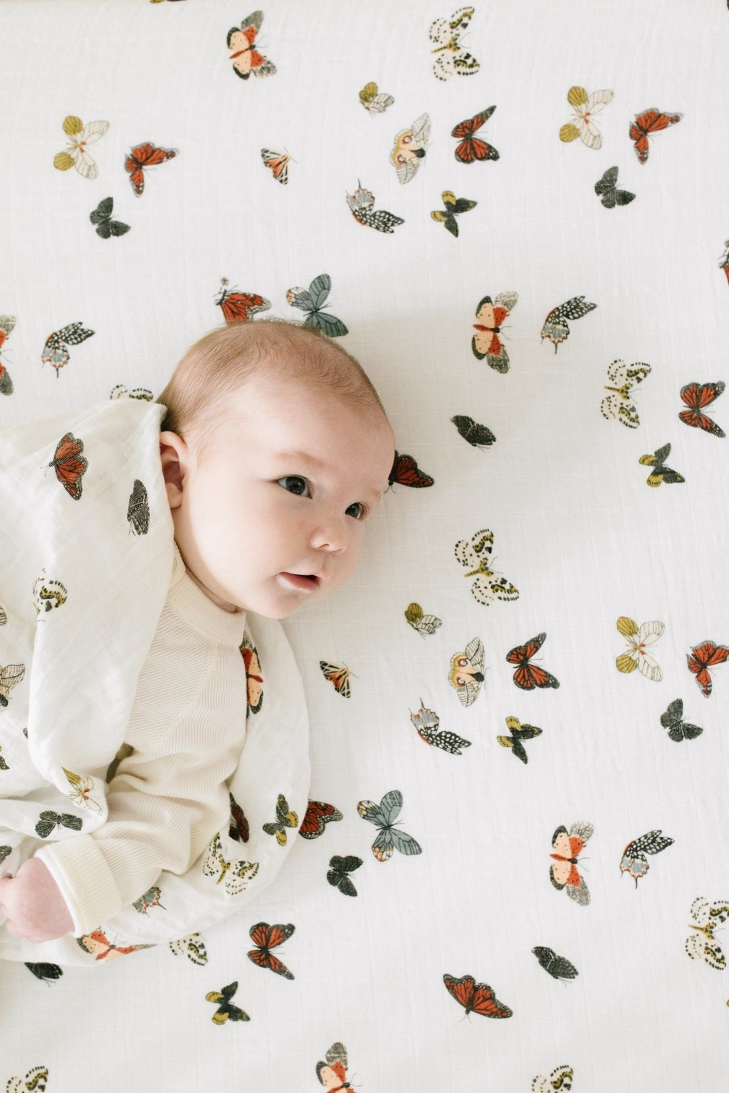 Butterfly Migration Crib Sheet - Paranoid Ranch