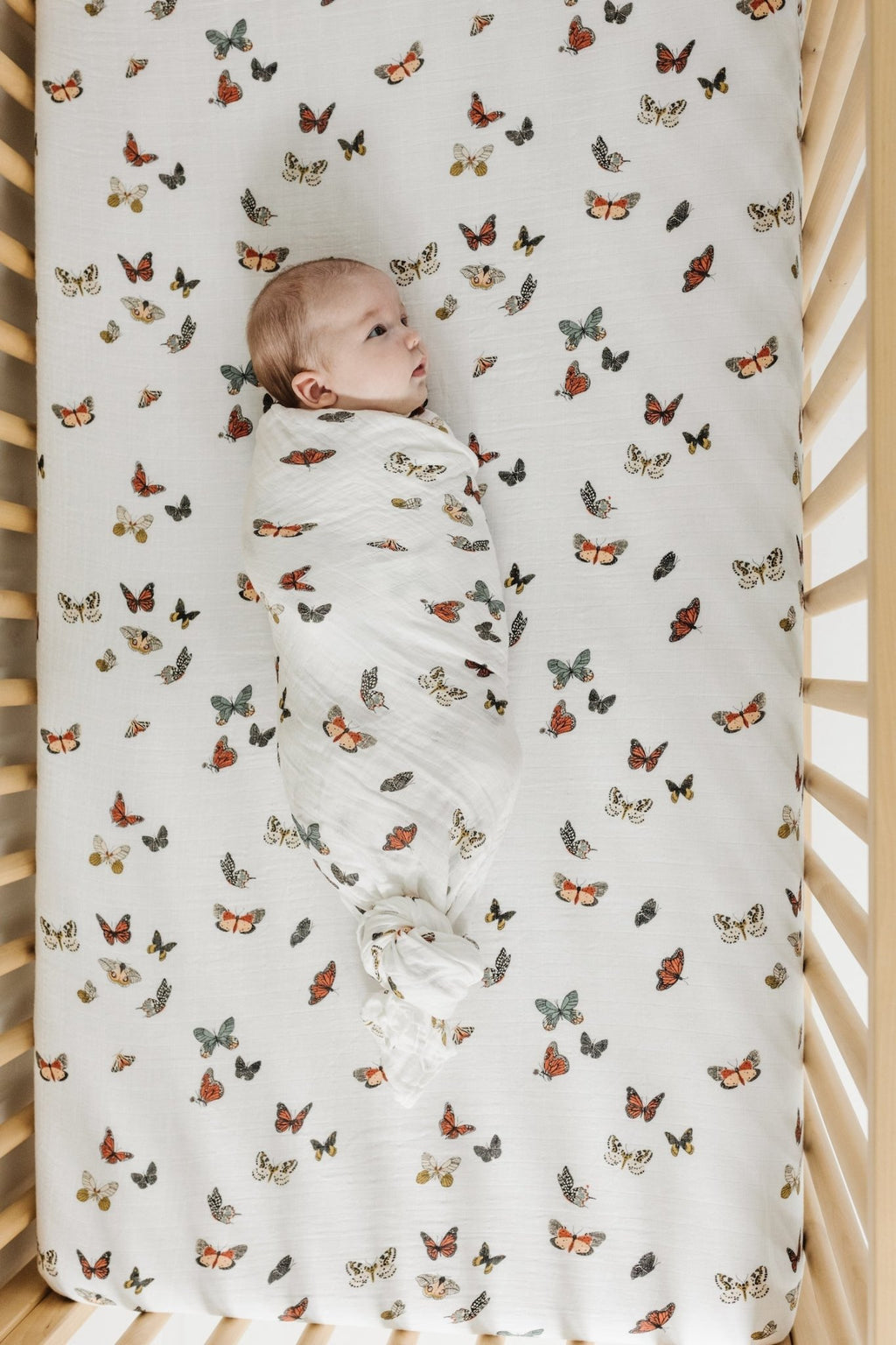 Butterfly Migration Crib Sheet - Paranoid Ranch