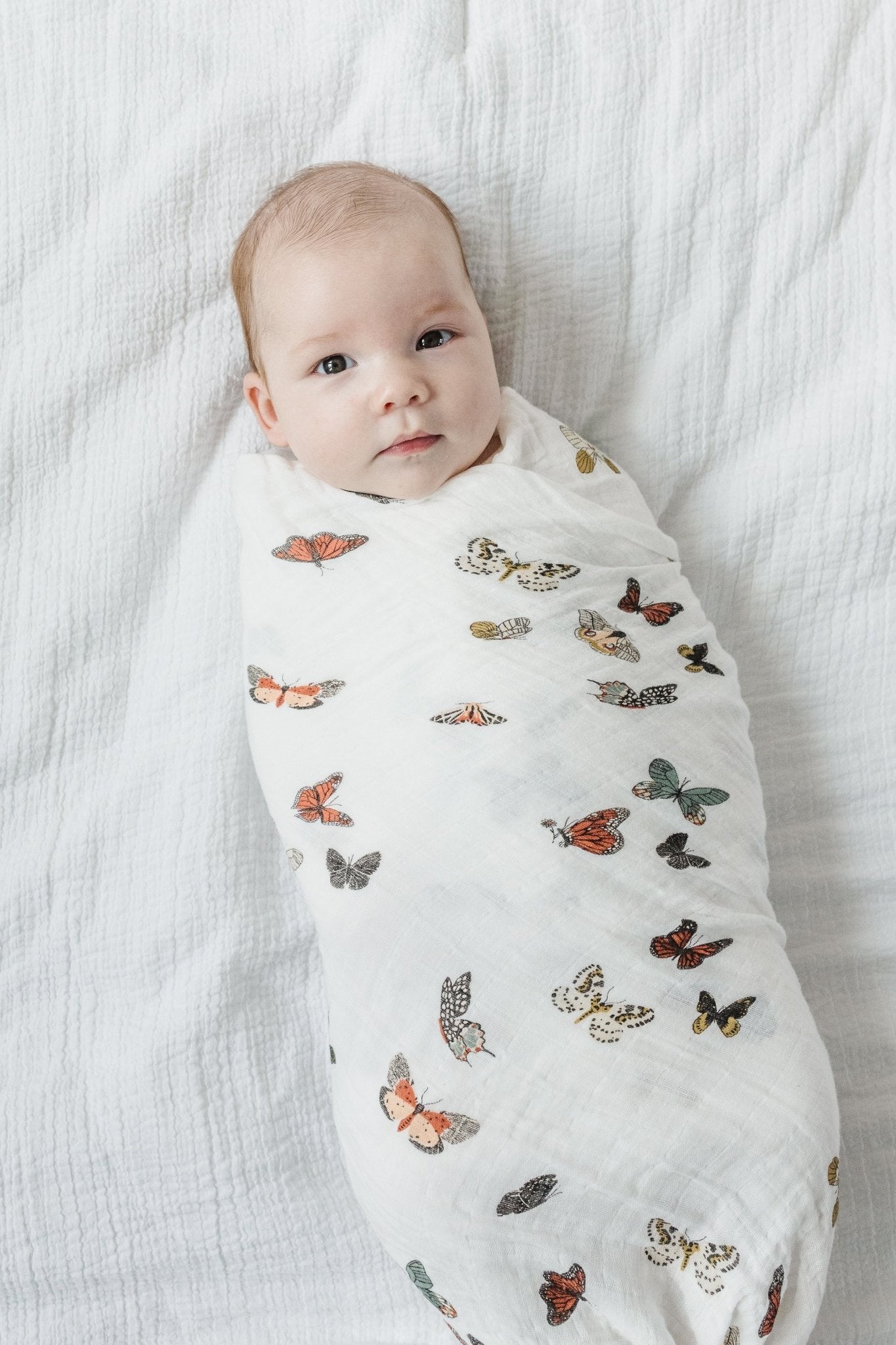 Butterfly Migration Swaddle - Paranoid Ranch