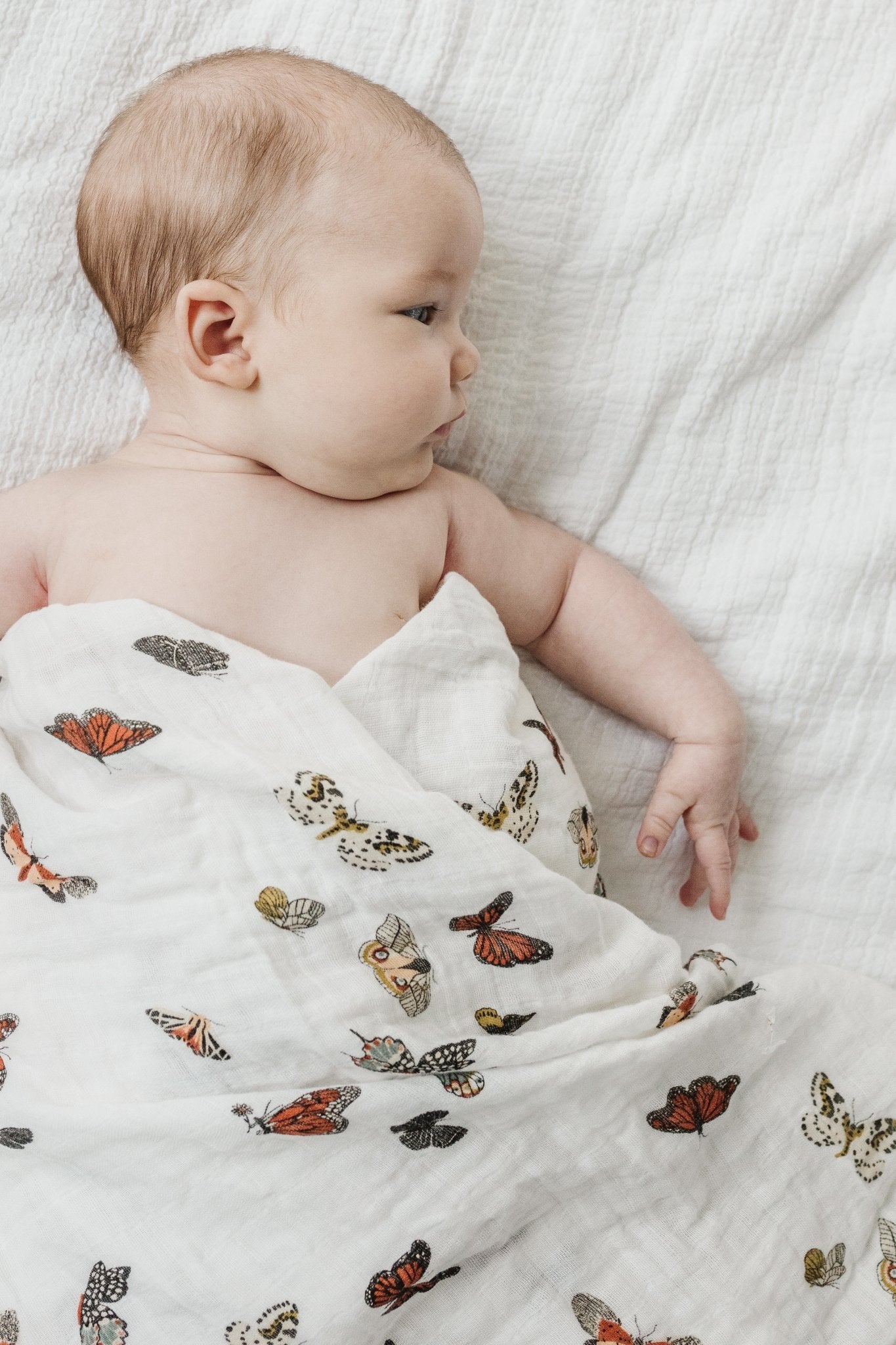 Butterfly Migration Swaddle - Paranoid Ranch