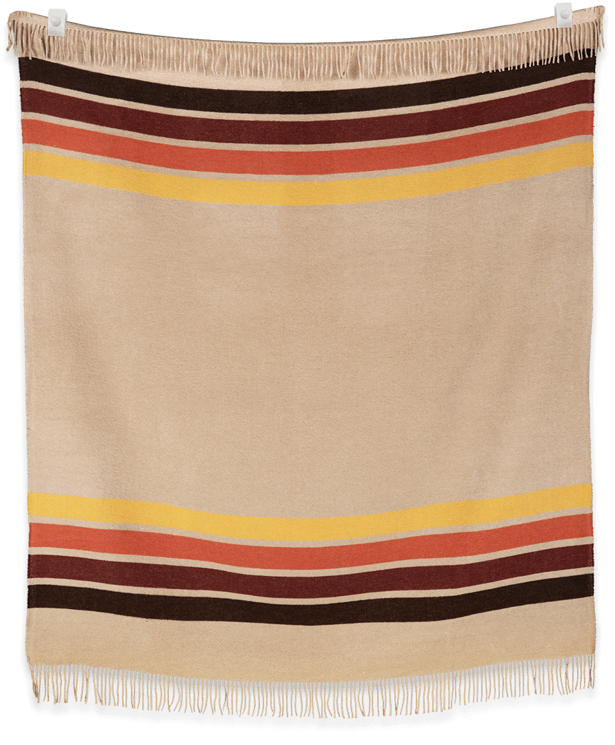 Camp Desert - Paranoid Ranch