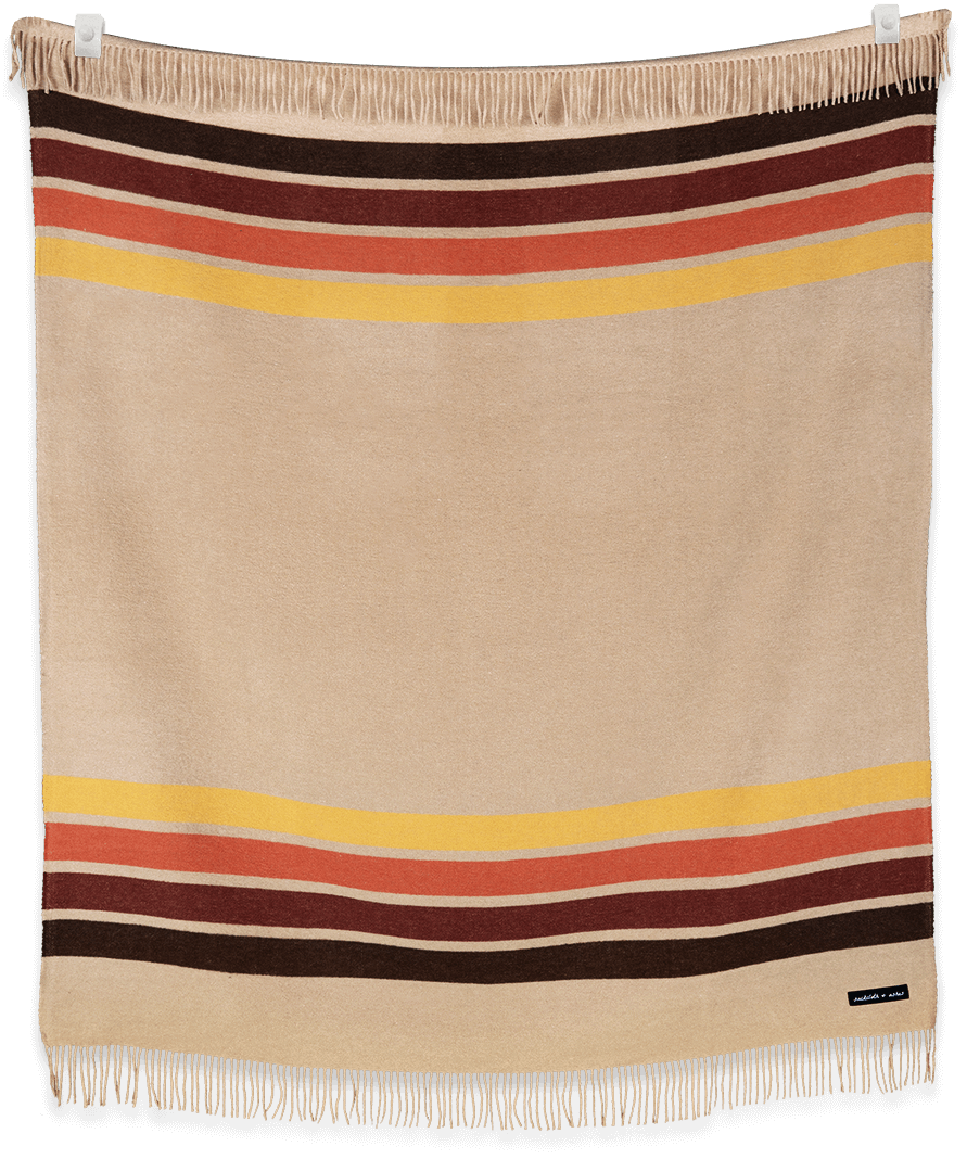 Camp Desert - Paranoid Ranch