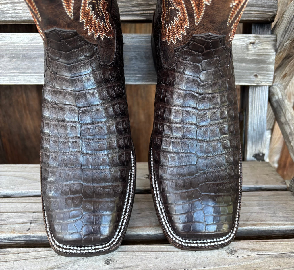 Chocolate Caiman Belly | Ariat Mens - Paranoid Ranch