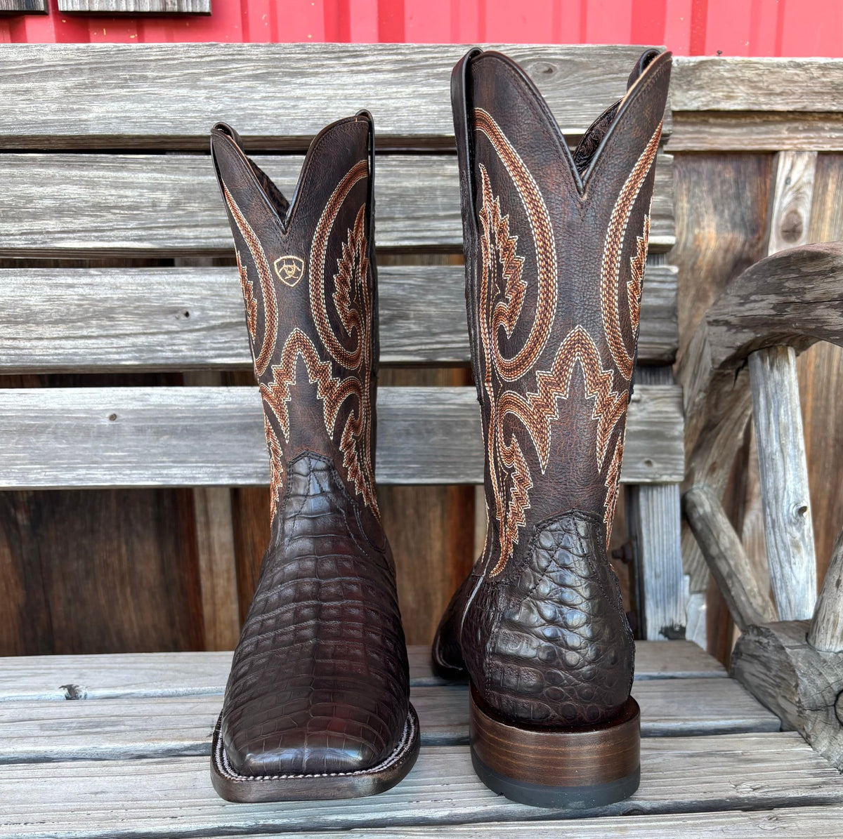 Chocolate Caiman Belly | Ariat Mens - Paranoid Ranch