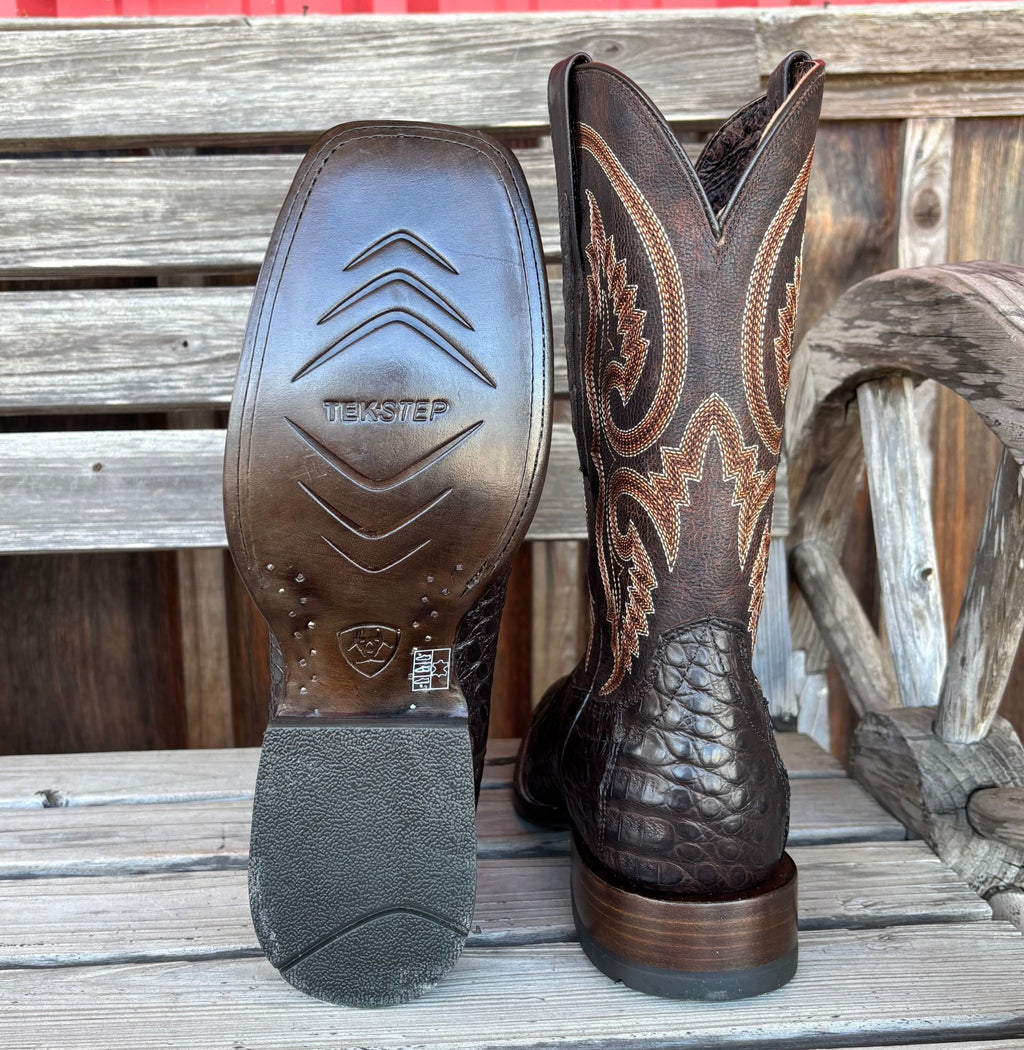 Chocolate Caiman Belly | Ariat Mens - Paranoid Ranch