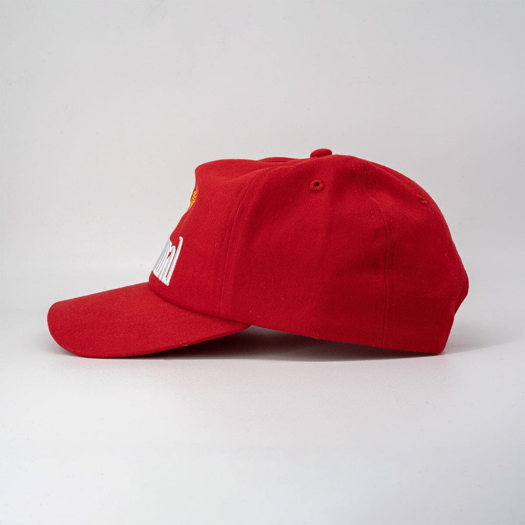 Communal Eagle Hat - Paranoid Ranch