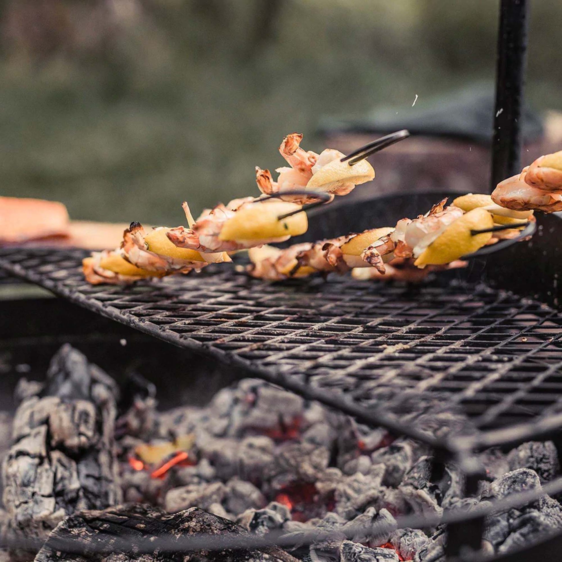 Cowboy Grill Steel Skewers - Paranoid Ranch