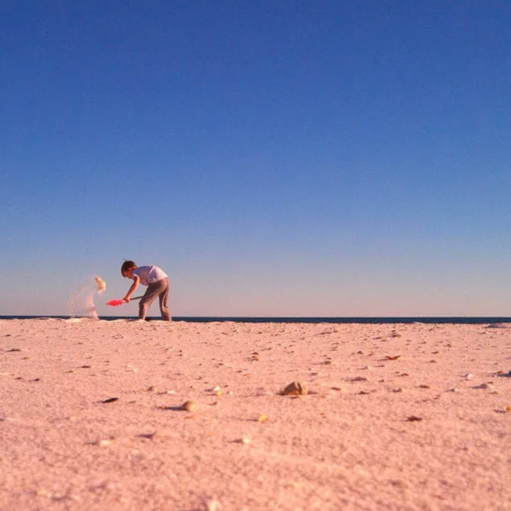 CS - PRO Camera - Paranoid Ranch