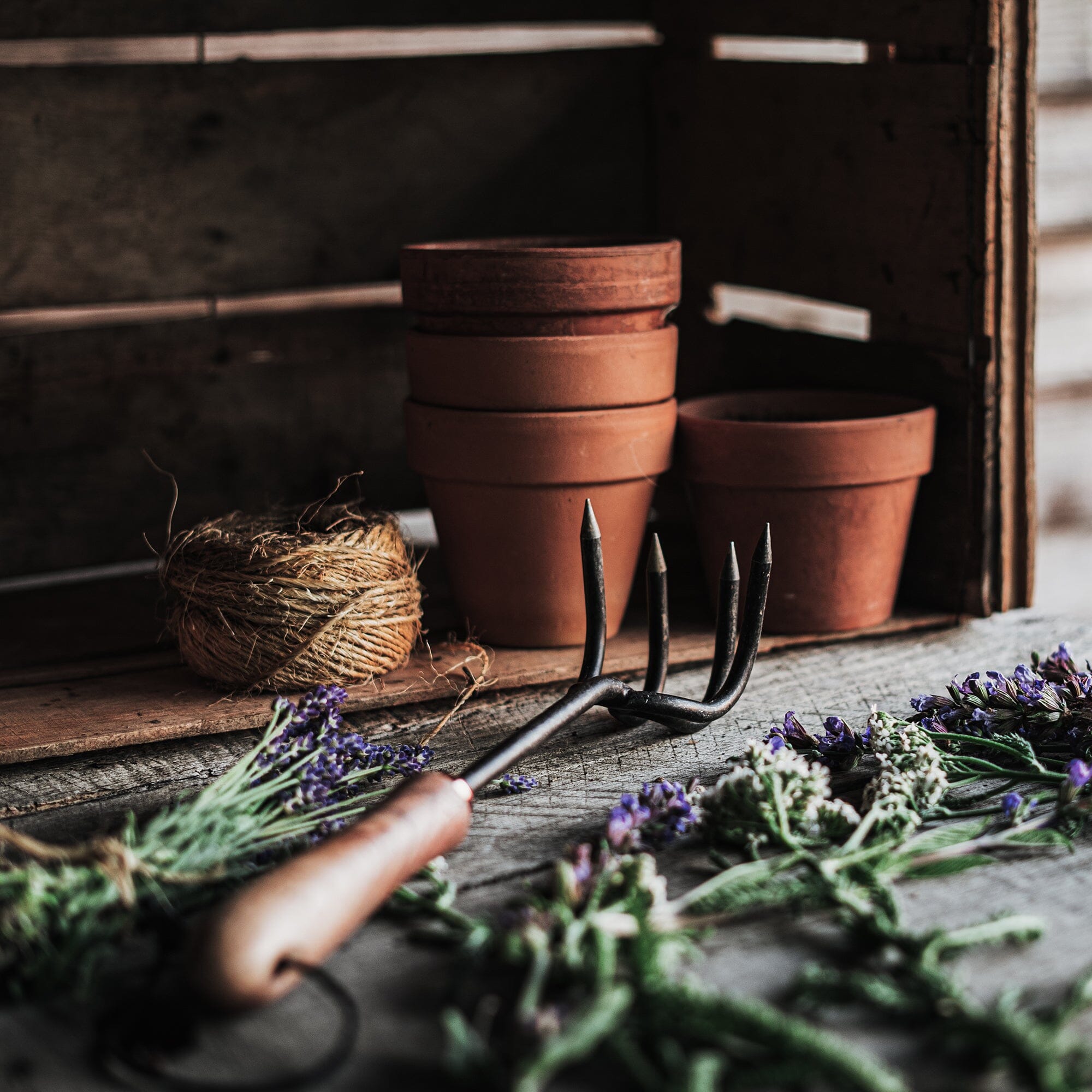 Cultivator - Paranoid Ranch