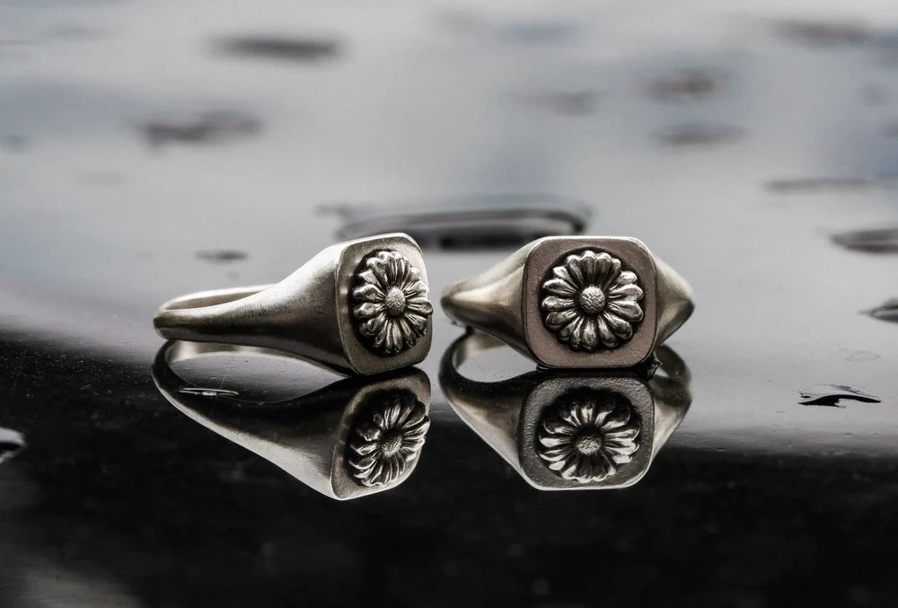 Daisy Signet - Paranoid Ranch