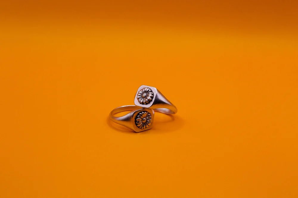 Daisy Signet - Paranoid Ranch