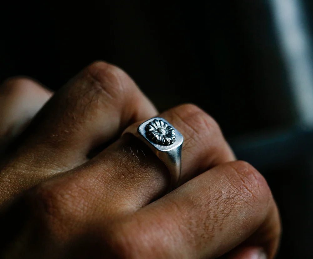 Daisy Signet - Paranoid Ranch