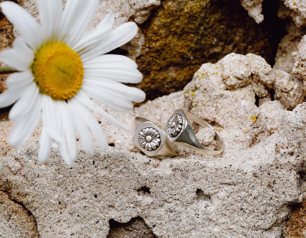 Daisy Signet - Paranoid Ranch