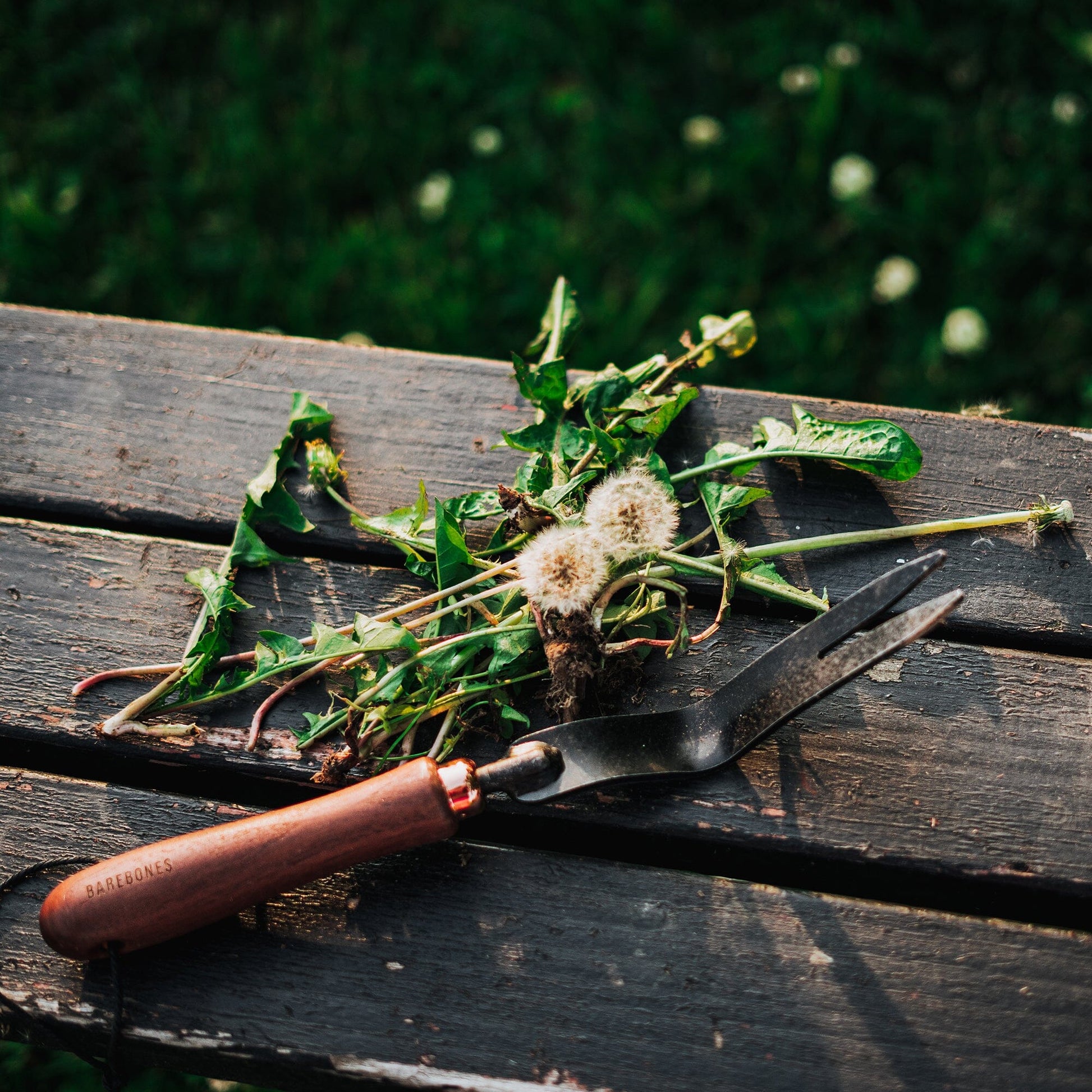 Dandelion Weeding Fork - Paranoid Ranch