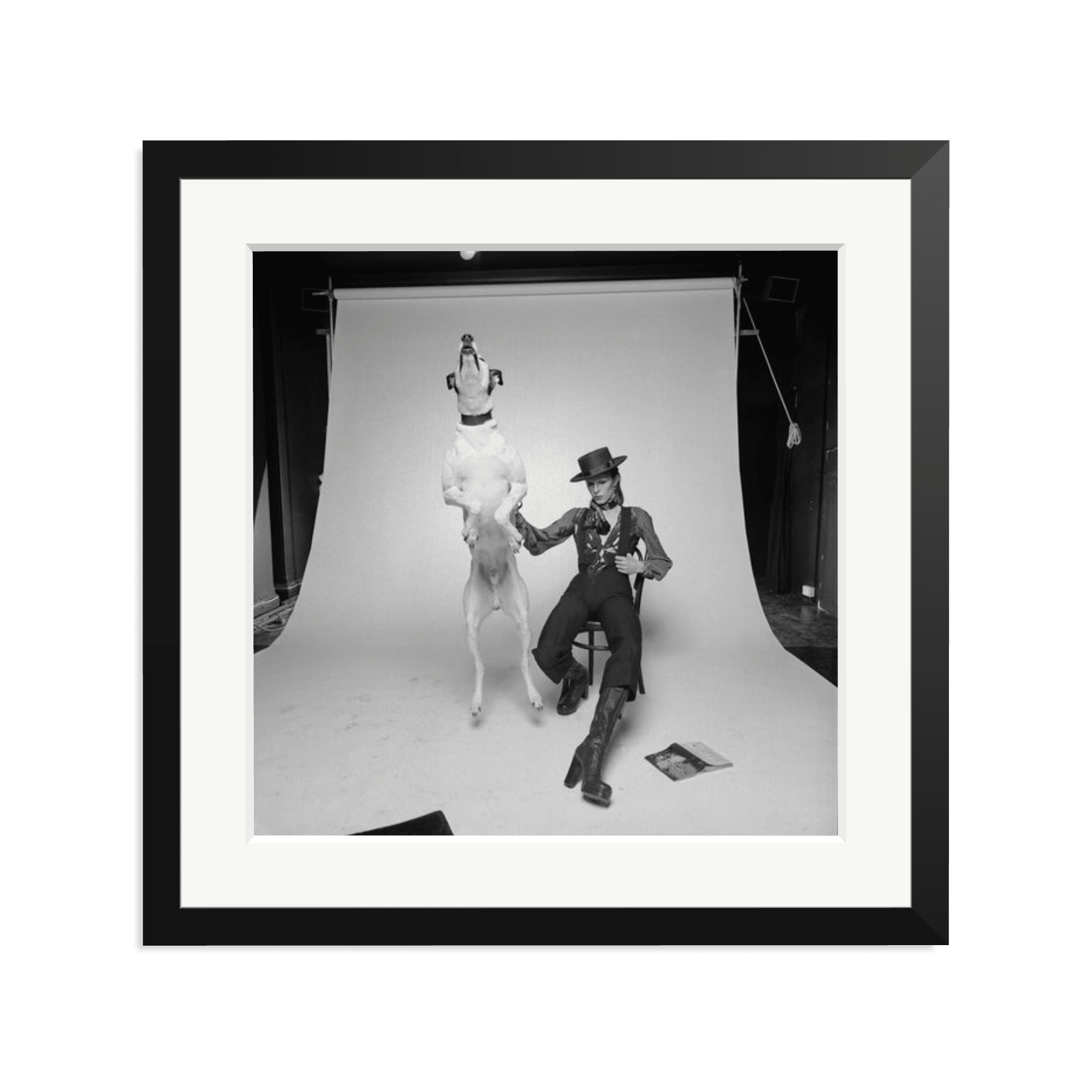 David Bowie Diamond Dog - Paranoid Ranch