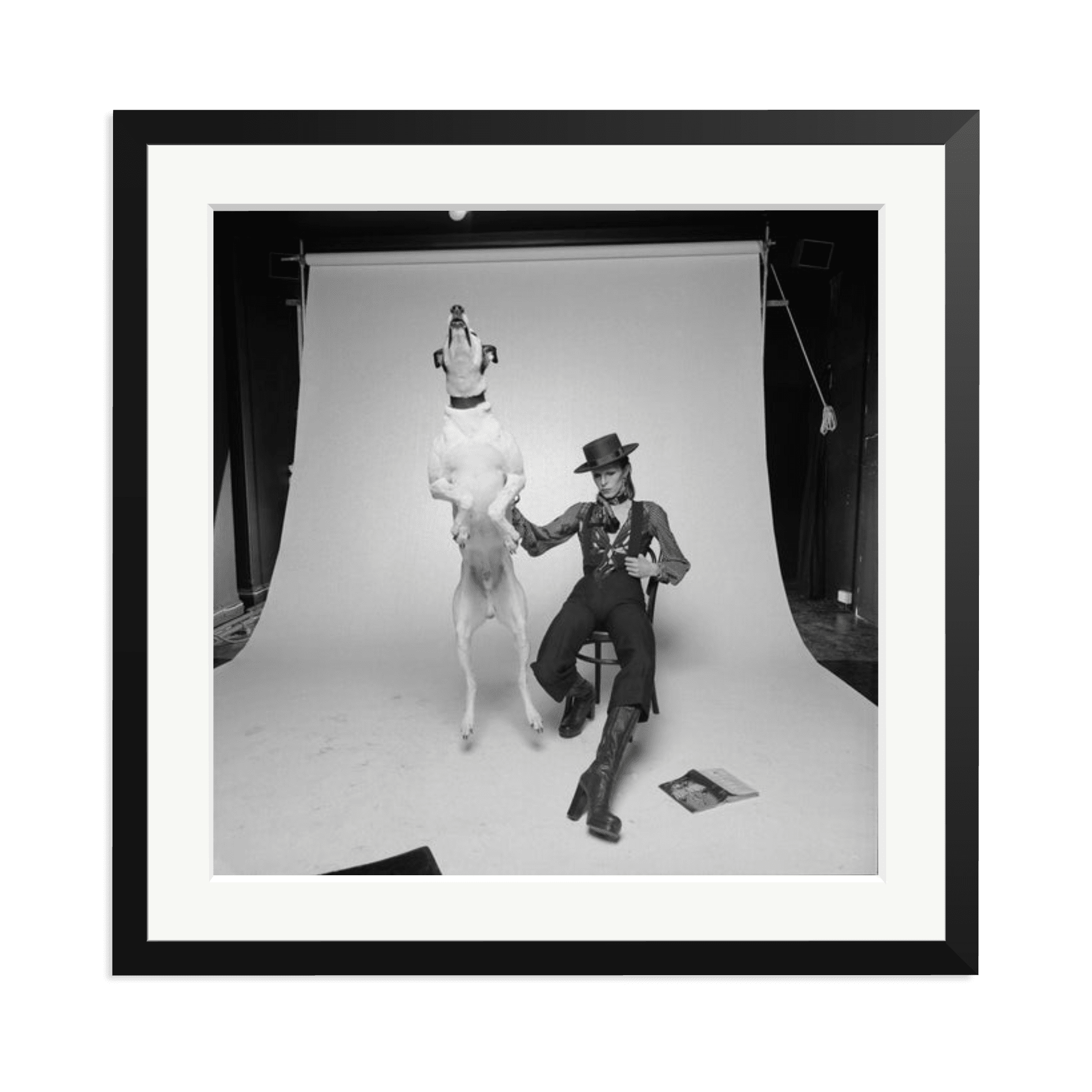 David Bowie Diamond Dog - Paranoid Ranch