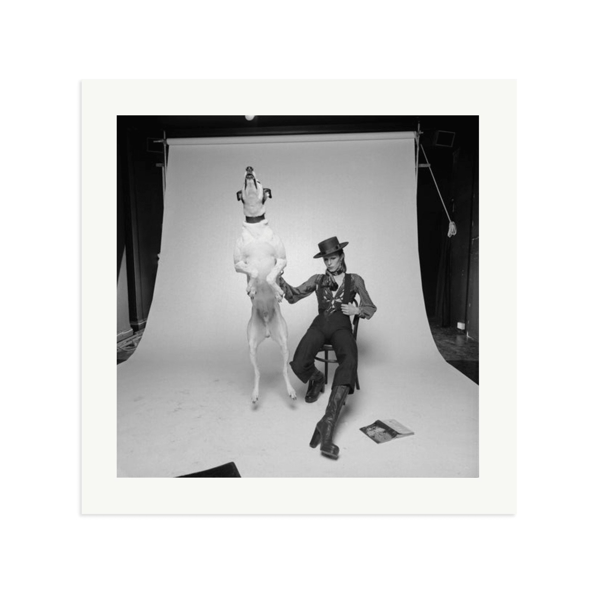 David Bowie Diamond Dog - Paranoid Ranch